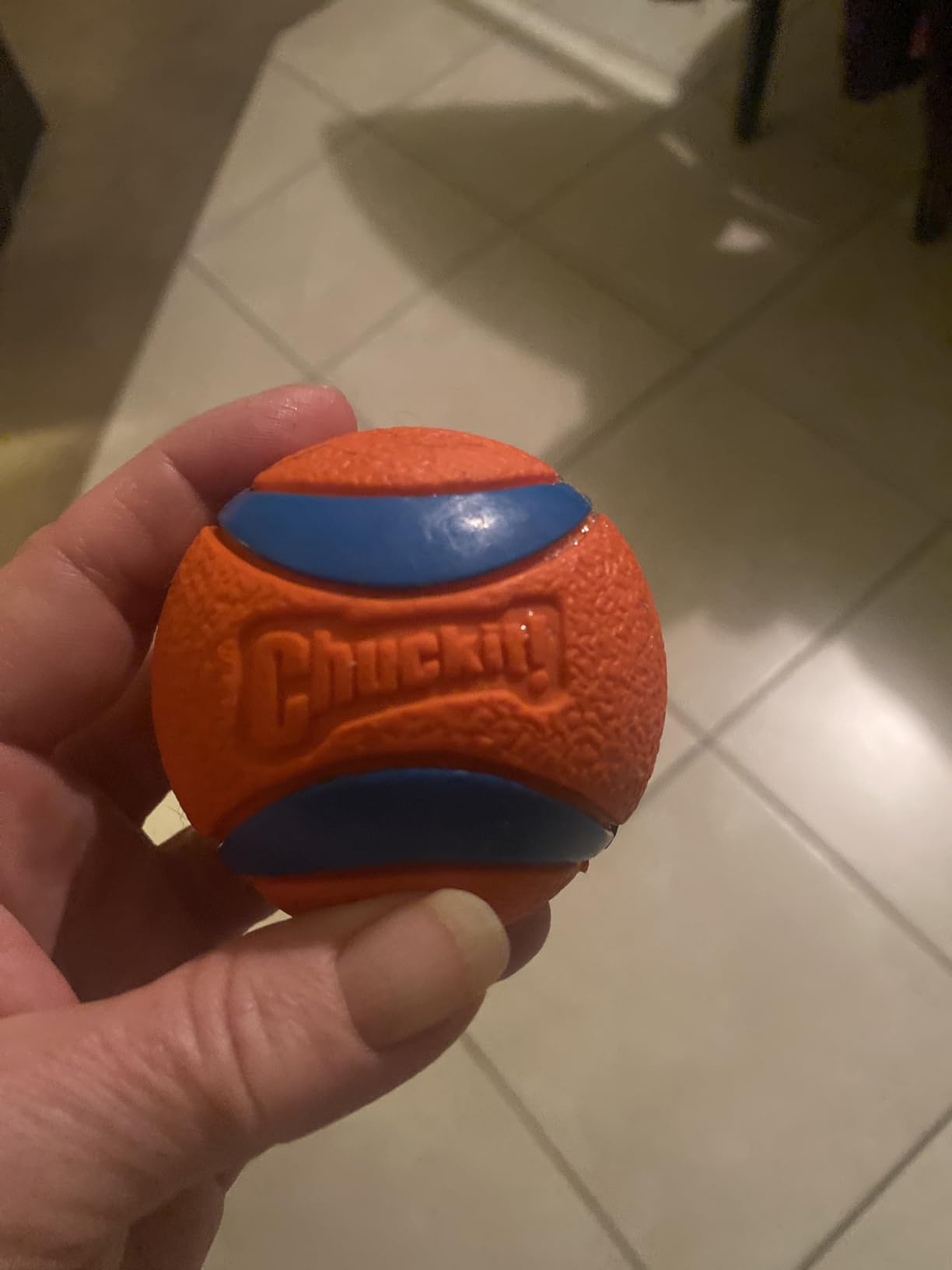 Chuckit! Ultra Ball Dog Toy - Medium Bouncy Fetch Balls For Dogs 20-60 lbs - Made from Durable Rubber - Floating Water Pet Toys - Size Medium - 2.5-inch Diameter - Pack of 2 Customer Review Chuckit! Ultra Ball Dog Toy - Medium Bouncy Fetch Balls For Dogs 20-60 lbs - Made from Durable Rubber - Floating Water Pet Toys - Size Medium - 2.5-inch Diameter - Pack of 2 - Customer Photo 1