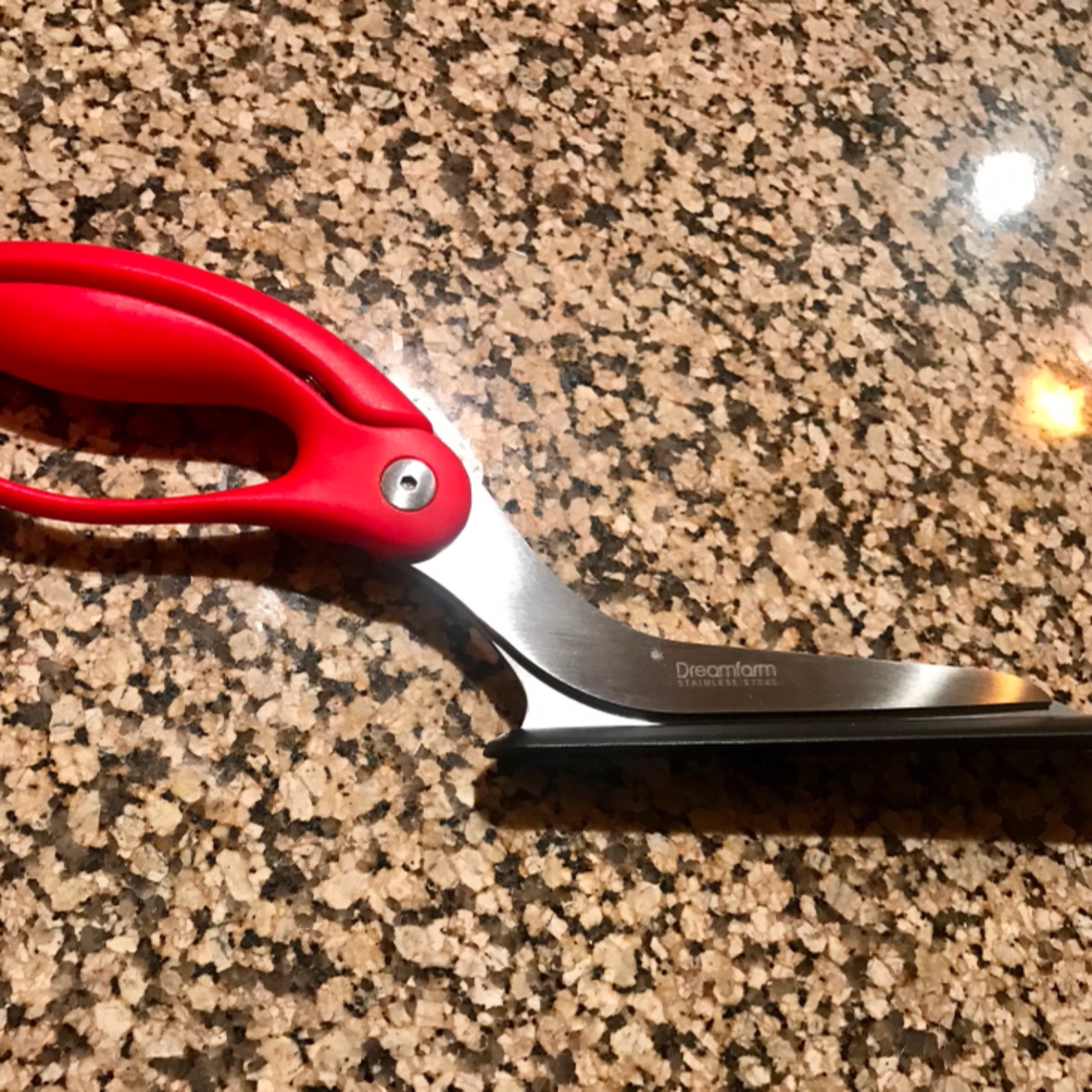 Dreamfarm Scizza 2-In-1 Easy Ergonomic Pizza Scissors with Stainless Steel Pizza Cutter Blades & Non-Stick Slice Server - Black - Customer Photo 2
