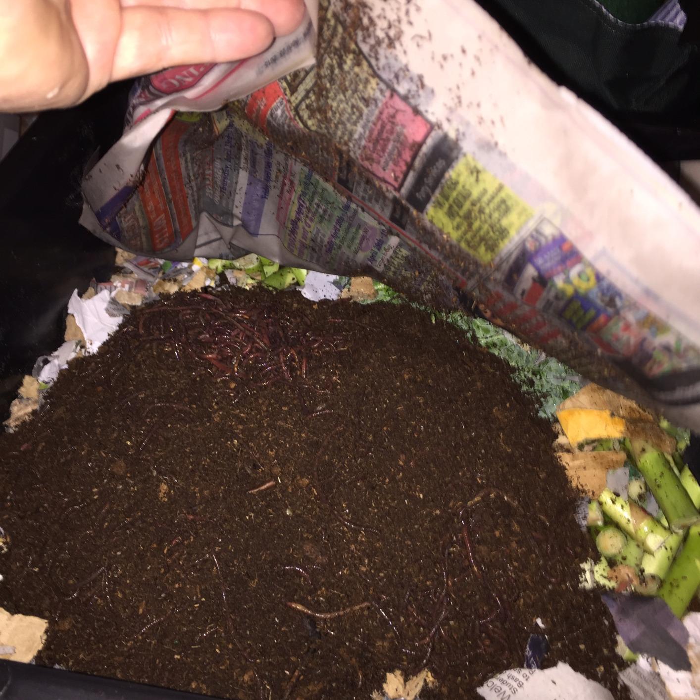 Worm Factory 360 Black US Made Composting System for Recycling Food Waste at Home – 4 Trays for Efficient Vermicomposting – Durable, Space-Efficient Design, Easy to Assemble, No Odor - Customer Photo 2
