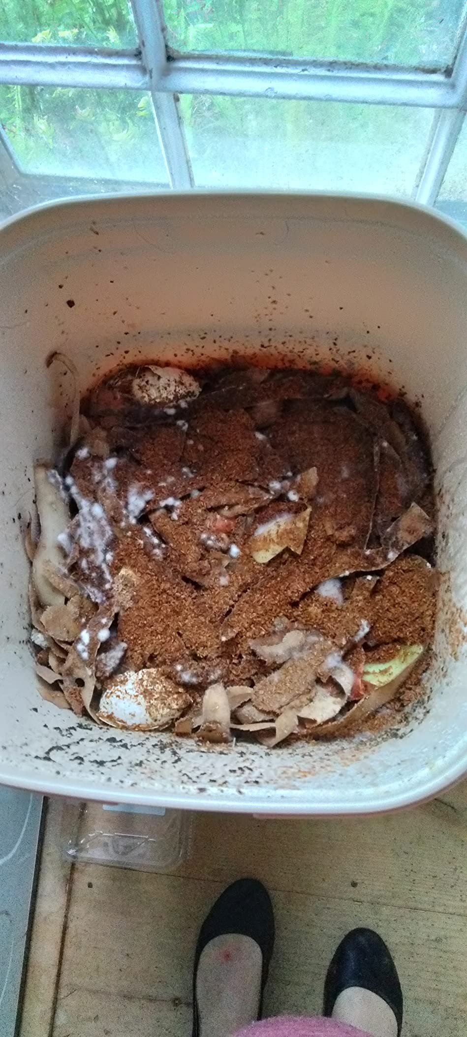 All Seasons Indoor Composter Starter Kit – 5 Gallon Tan Compost Bin For Kitchen Countertop With Lid, Spigot & 1 Gallon (2 lbs.) Bag Of Dry Bokashi Bran – by SCD Probiotics - Customer Photo 1