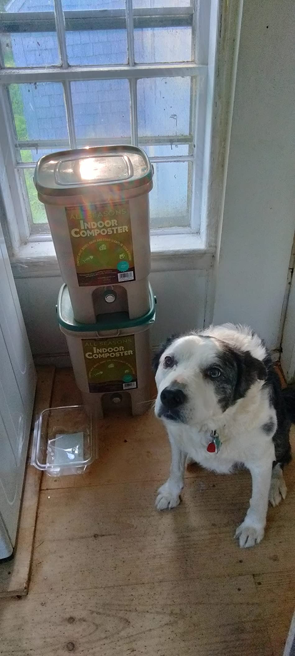 All Seasons Indoor Composter Starter Kit – 5 Gallon Tan Compost Bin For Kitchen Countertop With Lid, Spigot & 1 Gallon (2 lbs.) Bag Of Dry Bokashi Bran – by SCD Probiotics - Customer Photo 2