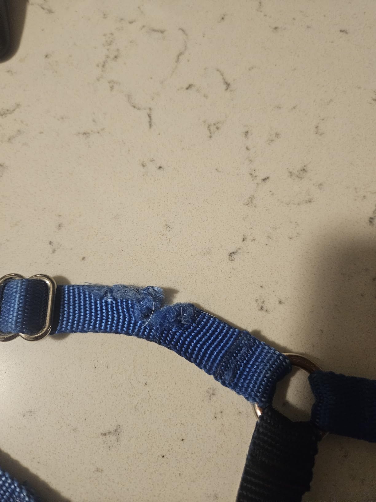 PetSafe Easy Walk No-Pull Dog Harness - The Ultimate Harness to Help Stop Pulling - Take Control & Teach Better Leash Manners - Helps Prevent Pets Pulling on Walks, Medium/Large, Raspberry/Gray - Customer Photo 3