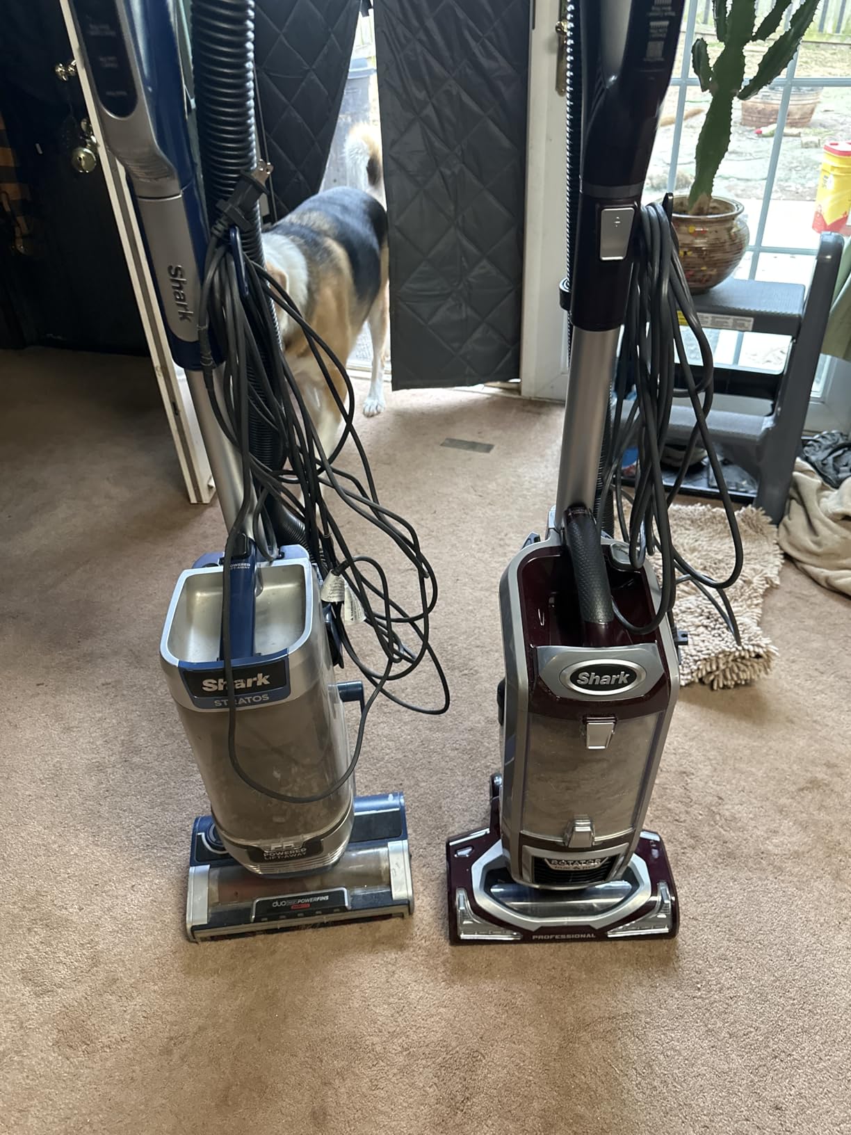 Shark NV501 Rotator Professional Lift-Away Upright Vacuum with HEPA Filter, Swivel Steering, LED Headlights, Wide Upholstery Tool, Dusting Brush & Crevice Tool, White/Red - Customer Photo 2