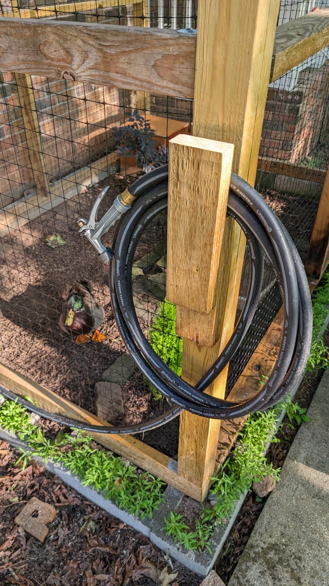 Continental Premium Garden Red Heavy Duty Hot Water Garden Hose, 5/8in Inside Diameter x 50ft Length, Male x Female Garden Hose Thread - Customer Photo 2