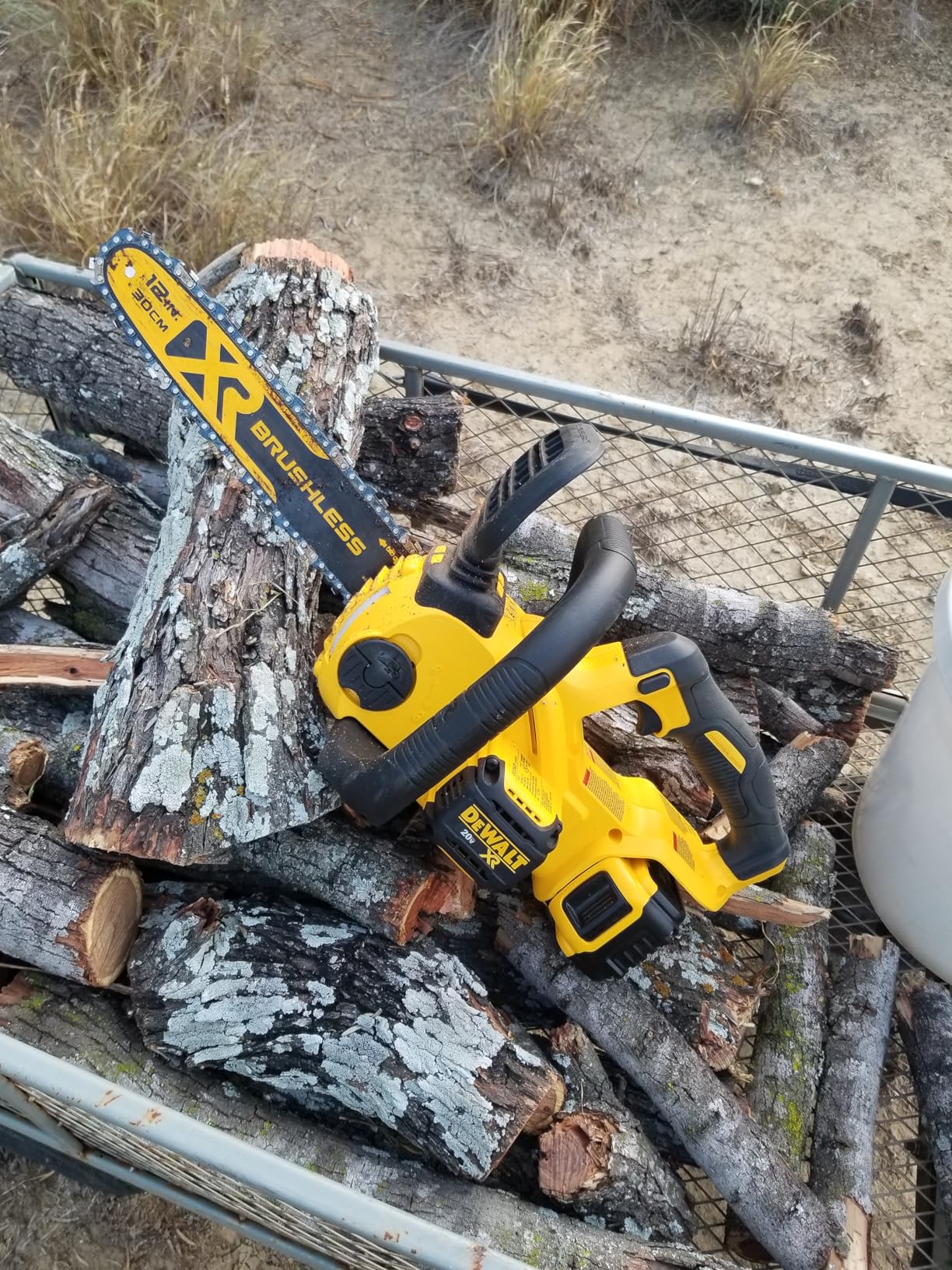 DEWALT 20V MAX* XR Chainsaw Kit, 5-Ah Battery, 12-Inch (DCCS620P1) Customer Review DEWALT 20V MAX* XR Chainsaw Kit, 5-Ah Battery, 12-Inch (DCCS620P1) - Customer Photo 2