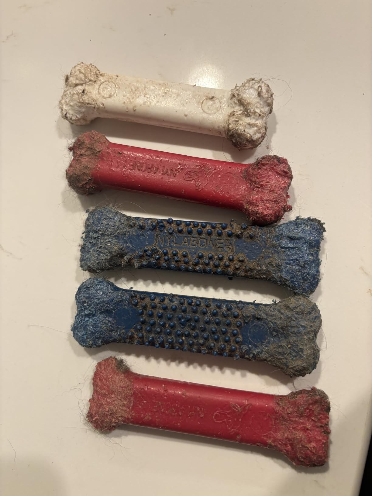 Nylabone Original Bone Power Chew Toy Value Pack for Dogs, Durable Dog Toys for Aggressive Chewers, Long Lasting Chicken, Bacon, and Peanut Butter Flavor, Small Dogs - Up to 25 Ibs, 3 Pack Customer Review Nylabone Original Bone Power Chew Toy Value Pack for Dogs, Durable Dog Toys for Aggressive Chewers, Long Lasting Chicken, Bacon, and Peanut Butter Flavor, Small Dogs - Up to 25 Ibs, 3 Pack - Customer Photo 1