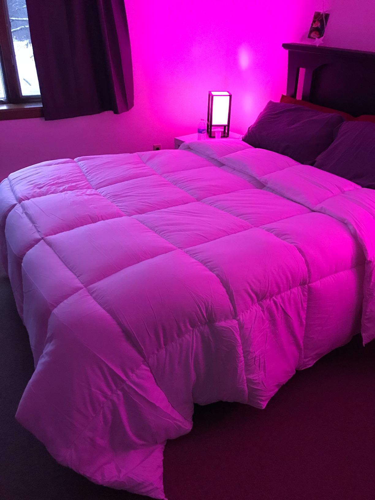 Utopia Bedding Comforter Duvet Insert, Quilted Comforter with Corner Tabs, Box Stitched Down Alternative Comforters Queen Size - Customer Photo 2