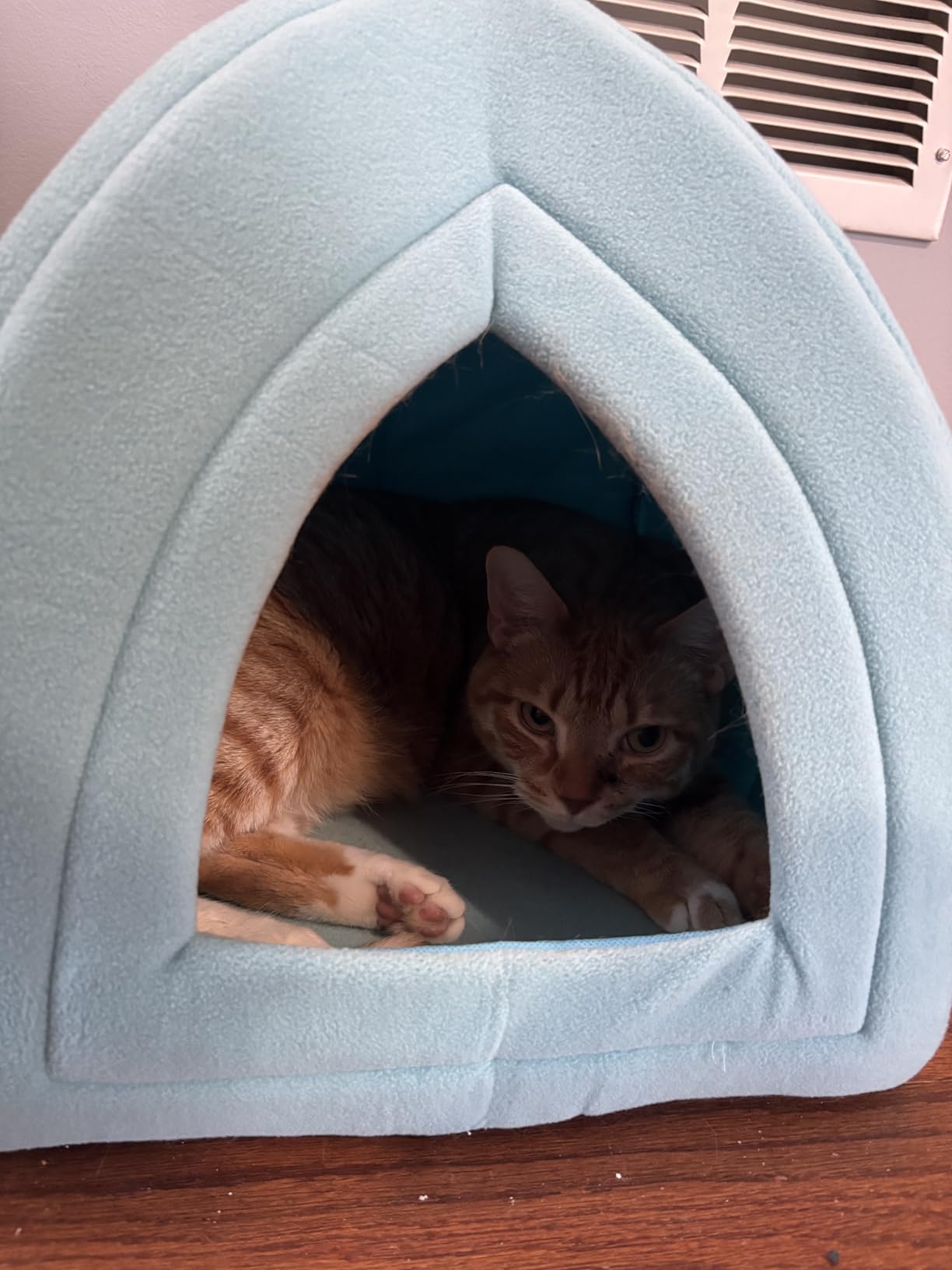 Cat House Indoor Cat Bed with Removable Foam Cushion, Plush Cat Tent Bed for Small Pets, Comfortable Cozy Hideaway for Cats, Kittens, Rabbits, Guinea Pigs, Ferrets, Hedgehogs, by PETMAKER - Customer Photo 2