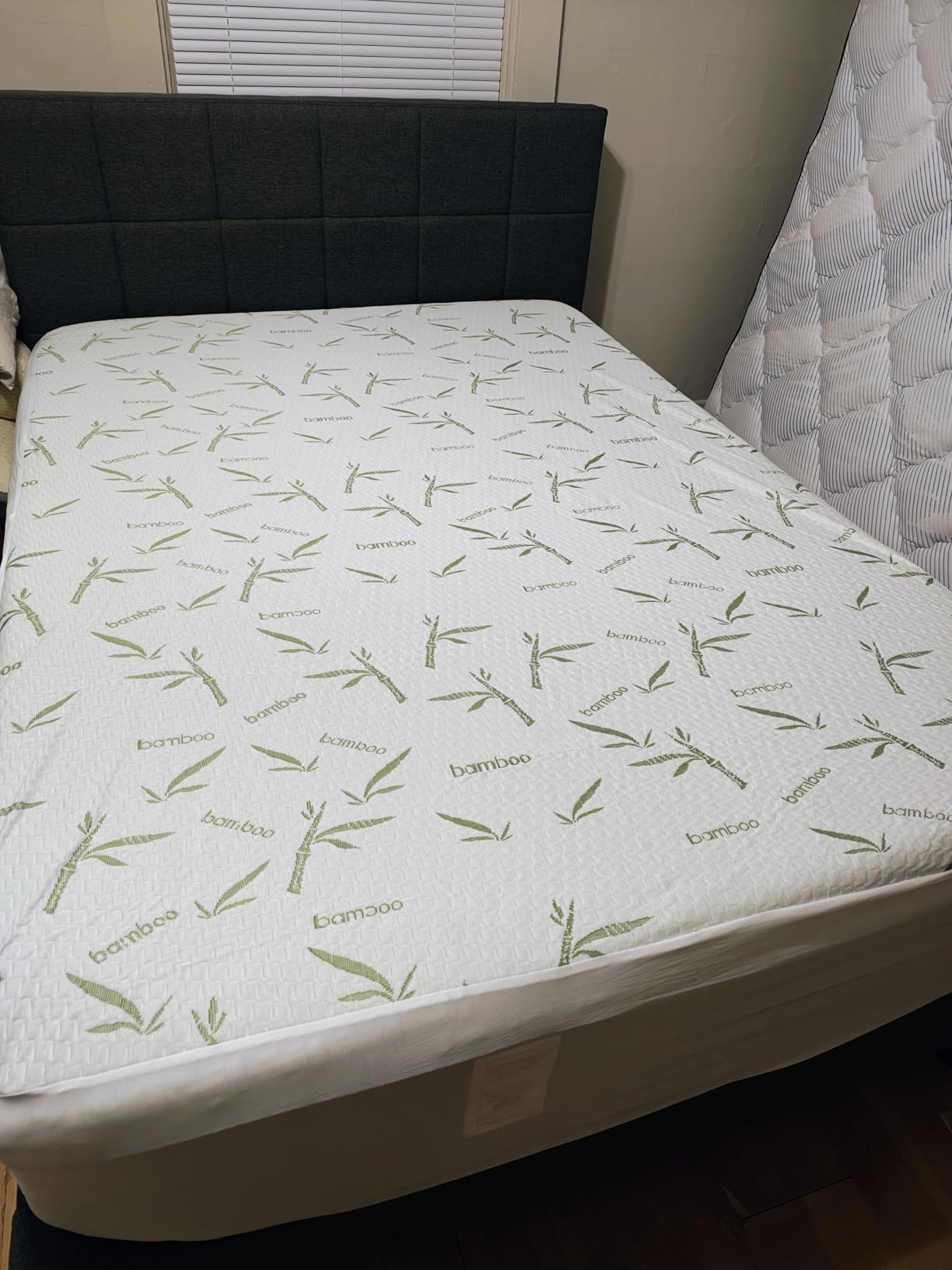Utopia Bedding Waterproof Mattress Protector Queen Size Bed, Premium 200 GSM Bamboo Viscose Cooling Mattress Cover, Soft and Breathable, Fitted Style with 17 Inches Deep Stretchable Pockets Customer Review Utopia Bedding Waterproof Mattress Protector Queen Size Bed, Premium 200 GSM Bamboo Viscose Cooling Mattress Cover, Soft and Breathable, Fitted Style with 17 Inches Deep Stretchable Pockets - Customer Photo 2