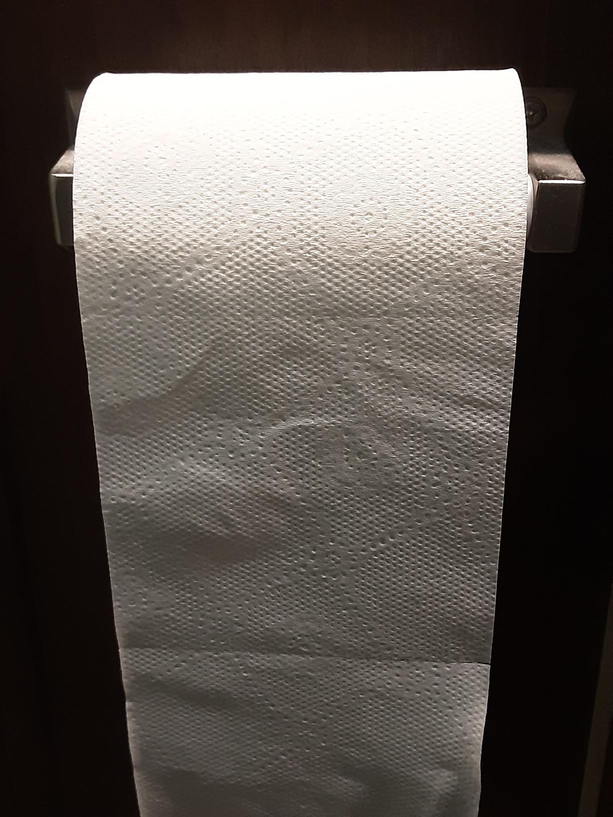 Caboo Tree Free Toilet Paper | Septic Safe, Eco Friendly, Chemical Free, Non Toxic | 2 Ply Toilet Tissue, Pack of 24 Double Rolls, 300 Sheets Per Roll Customer Review Caboo Tree Free Toilet Paper | Septic Safe, Eco Friendly, Chemical Free, Non Toxic | 2 Ply Toilet Tissue, Pack of 24 Double Rolls, 300 Sheets Per Roll - Customer Photo 4