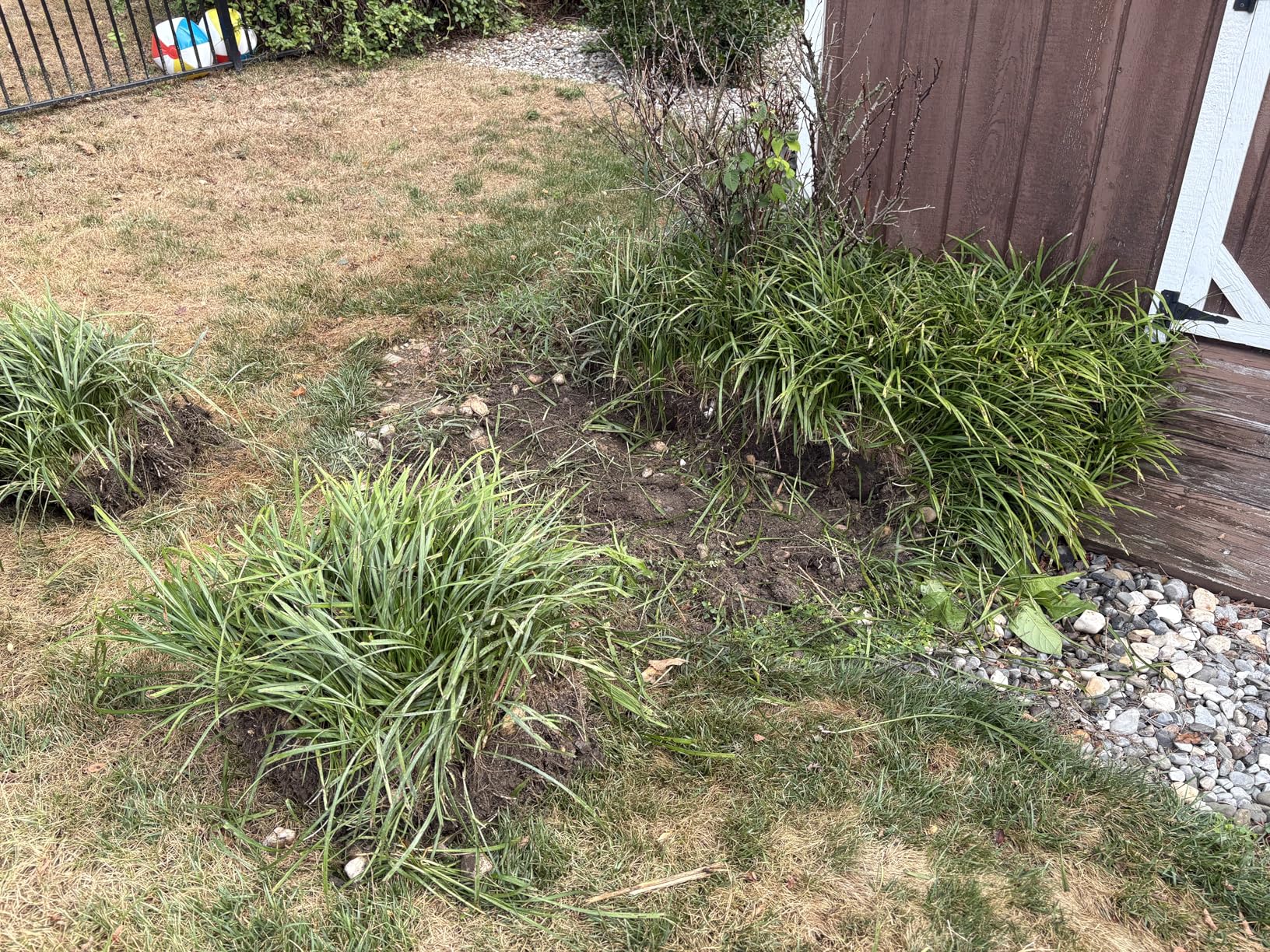 Root Slayer 22011, Shovel, Red - Customer Photo 2