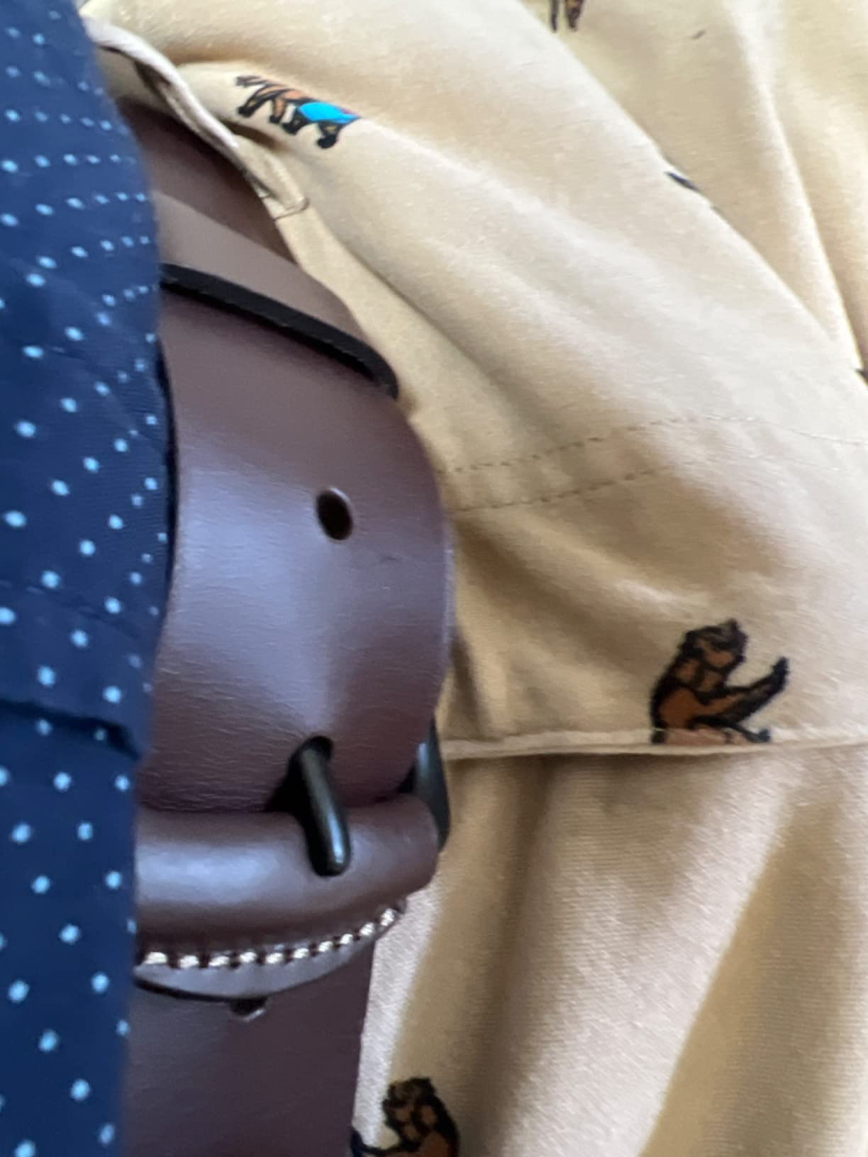 Fossil Men's Leather Belt Customer Review Fossil Men's Leather Belt - Customer Photo 2