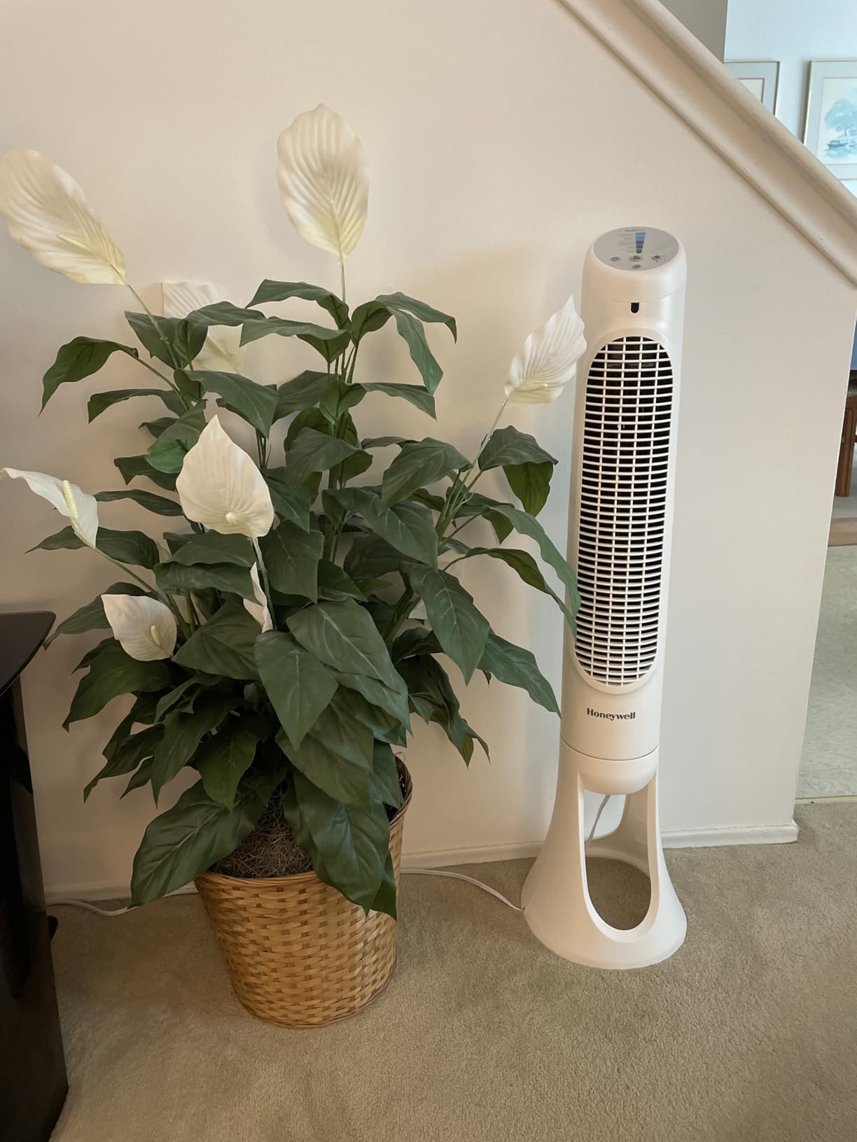 Honeywell QuietSet Whole Room Oscillating Tower filter Fan with Remote, White, HYF260 Customer Review Honeywell QuietSet Whole Room Oscillating Tower filter Fan with Remote, White, HYF260 - Customer Photo 1