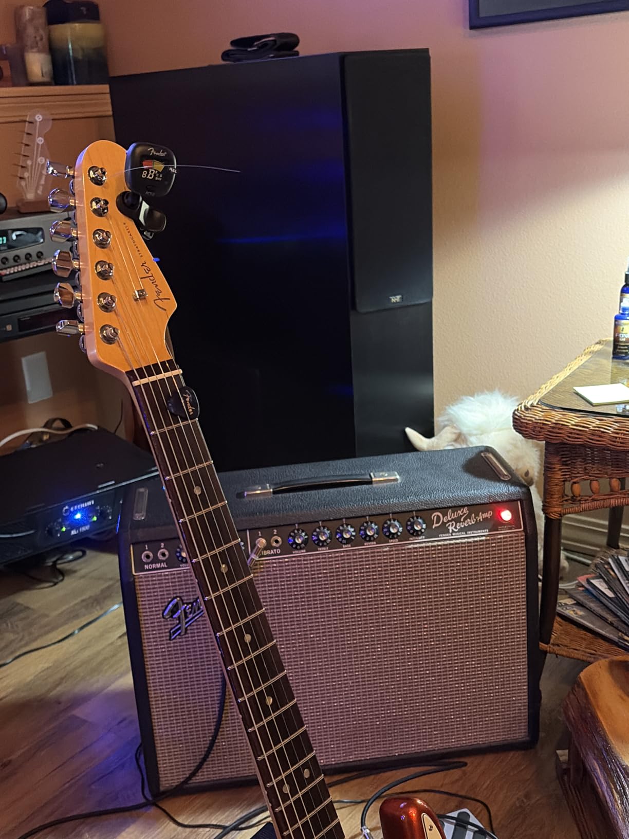 Fender FCT-2 Professional Multi-Instrument Clip-On Tuner for Guitar, Bass, Ukulele, and Violin - Customer Photo 1