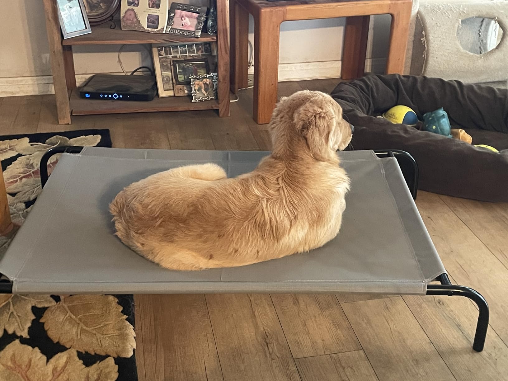 Amazon Basics Cooling Breathable Elevated Dog Bed with Durable Metal Frame, Medium, 43 x 26 x 7.5 Inch, Grey, Easy to Assemble - Customer Photo 2