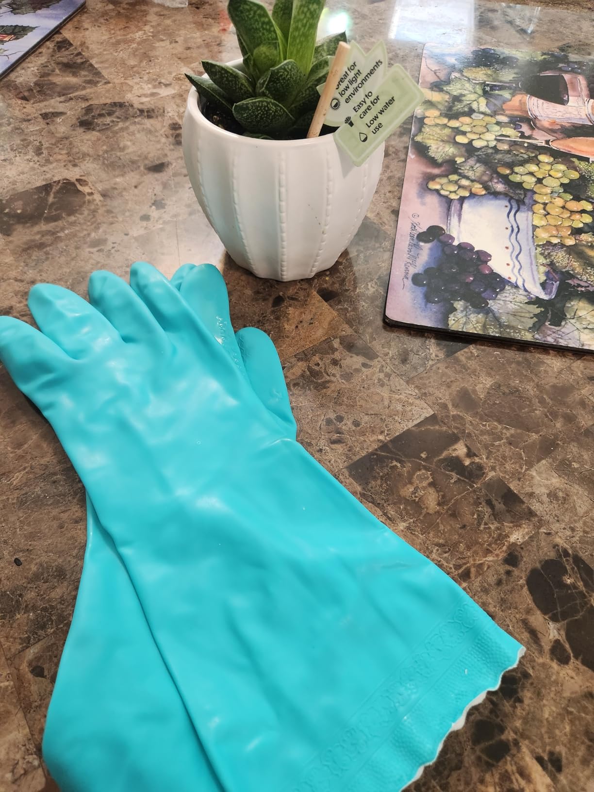 Elgood Reusable Dishwashing Cleaning Gloves with Latex free, Cotton lining,Kitchen Gloves 2 Pairs,Purple+blue Medium - Customer Photo 1
