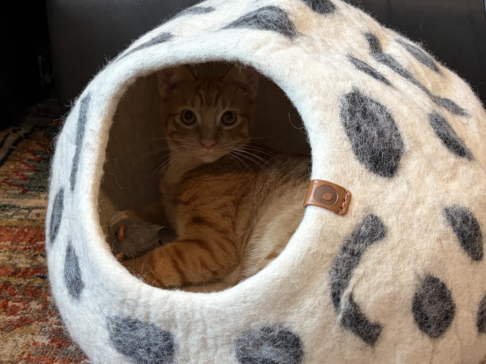 MEOWFIA Cat Cave – Premium Felt Cat Bed for Indoor Cats, Handmade Merino Wool (Light Grey, Medium) - Customer Photo 2