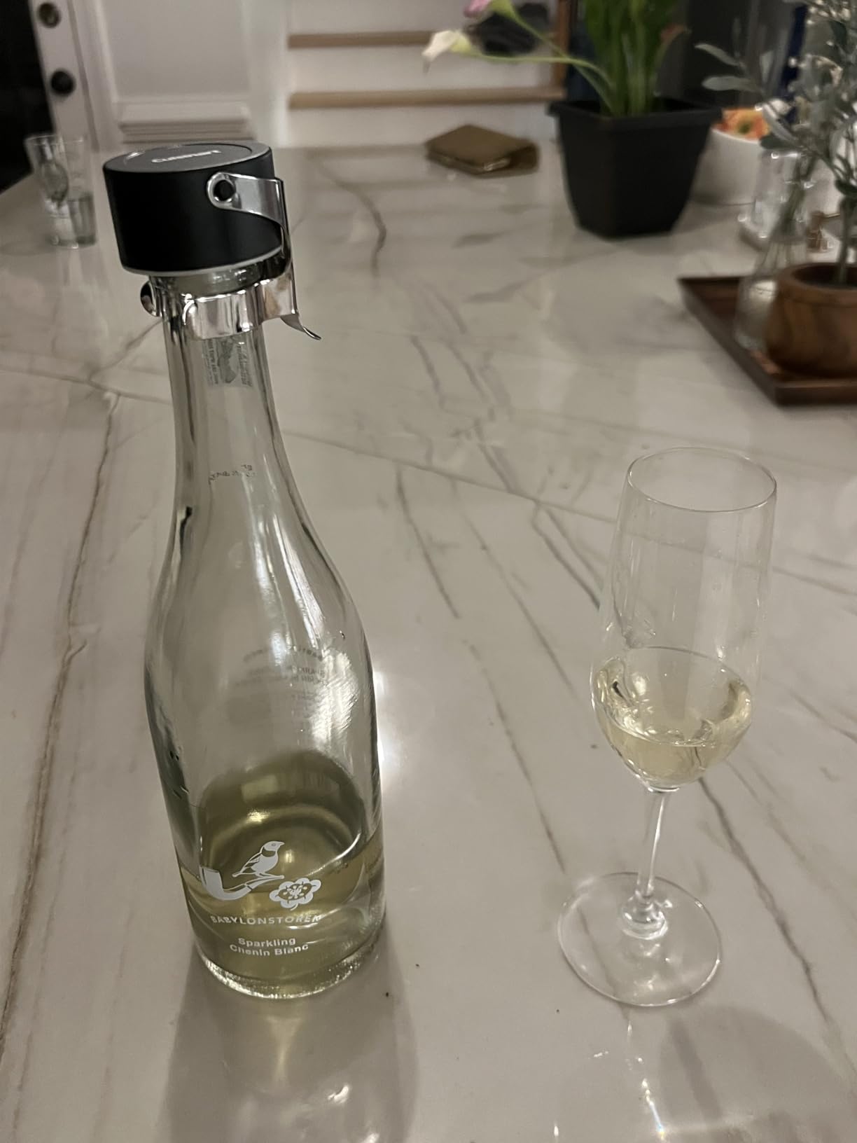 Cuisinart CTG-00-CHS Champagne Stopper, 6.13