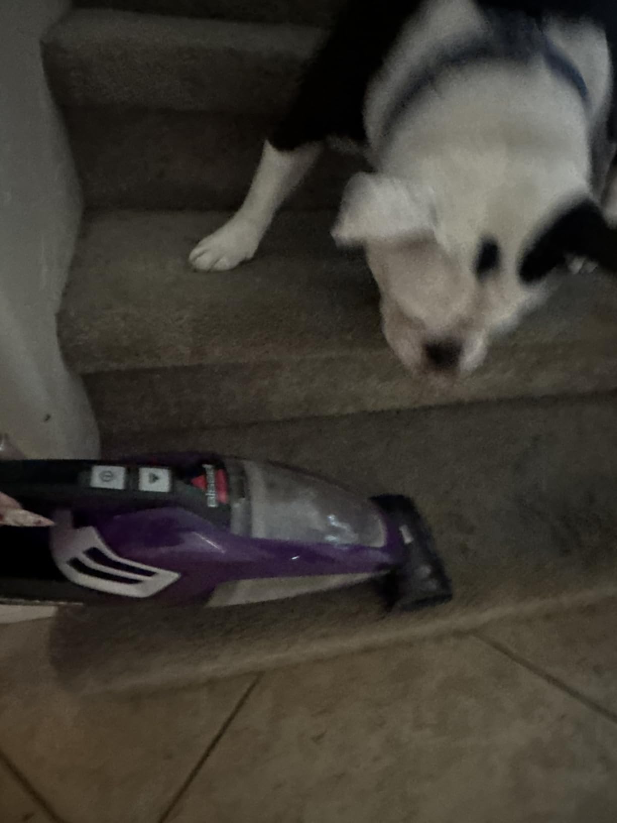 Bissell Pet Hair Eraser Cordless Hand Vacuum, Lithium Ion, 2390A - Customer Photo 2
