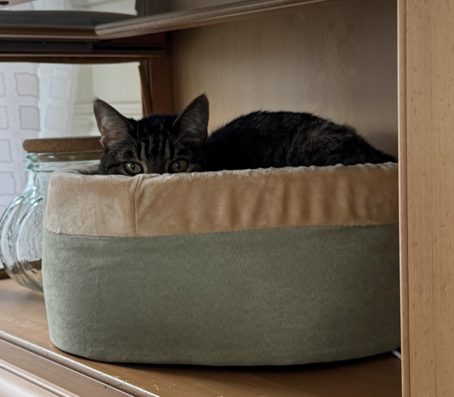 K&H Pet Products Thermo-Kitty Bed Heated Cat Beds for Large Indoor Cats & Dogs, Calming Warming Pillow Pet Bed, Machine Washable, Removable Heater, Safety Listed - Large 20