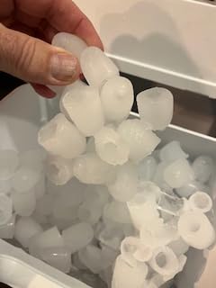 Frigidaire 26 Lbs per Day Portable Compact Ice Maker Machine, Stainless Steel customer photo 2