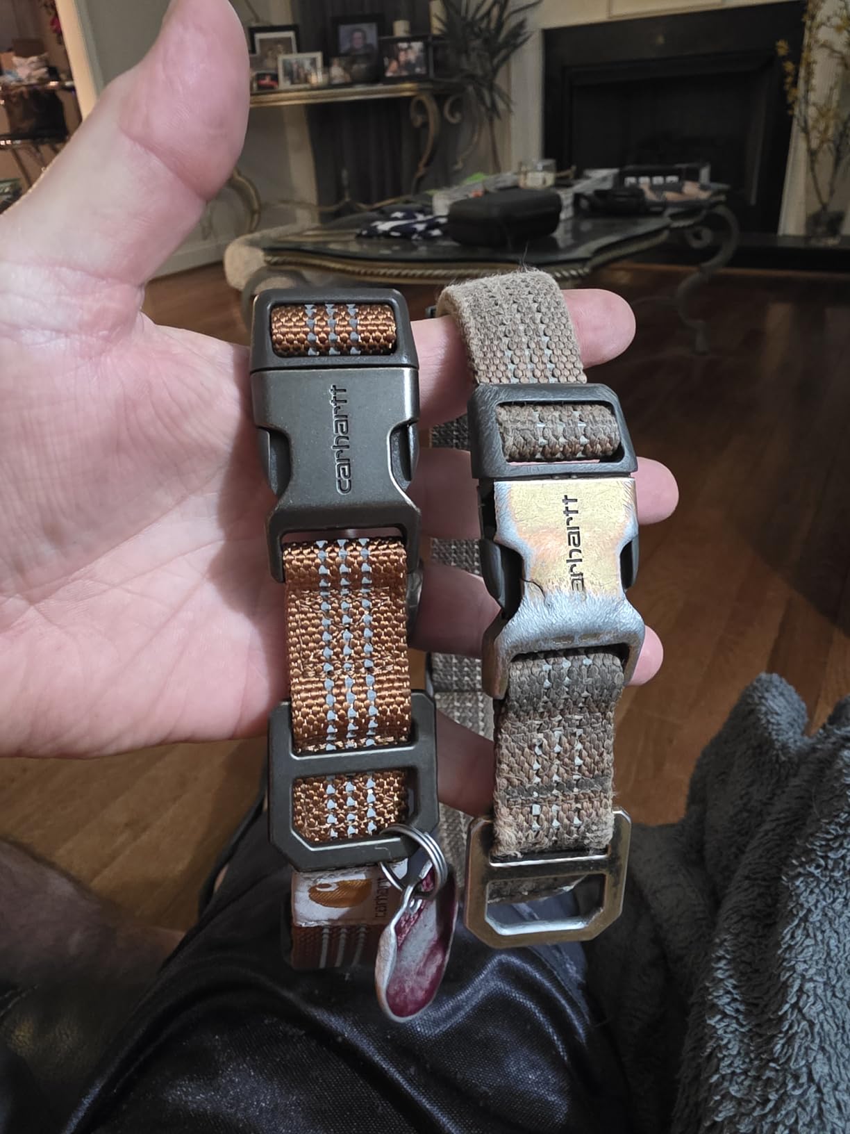 Carhartt Fully Adjustable Nylon Webbing Collars for Dogs, Reflective Stitching for Visibility, Carhartt Brown (Nylon Webbing), Large - Customer Photo 2