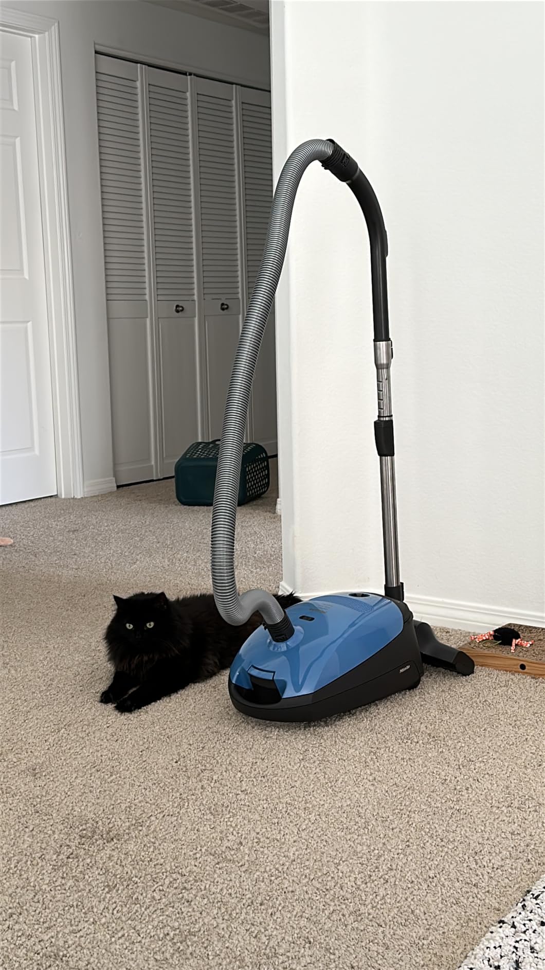 Miele Classic C1 Turbo Team Bagged Canister Vacuum, Tech Blue - Portable, Household Customer Review Miele Classic C1 Turbo Team Bagged Canister Vacuum, Tech Blue - Portable, Household - Customer Photo 2