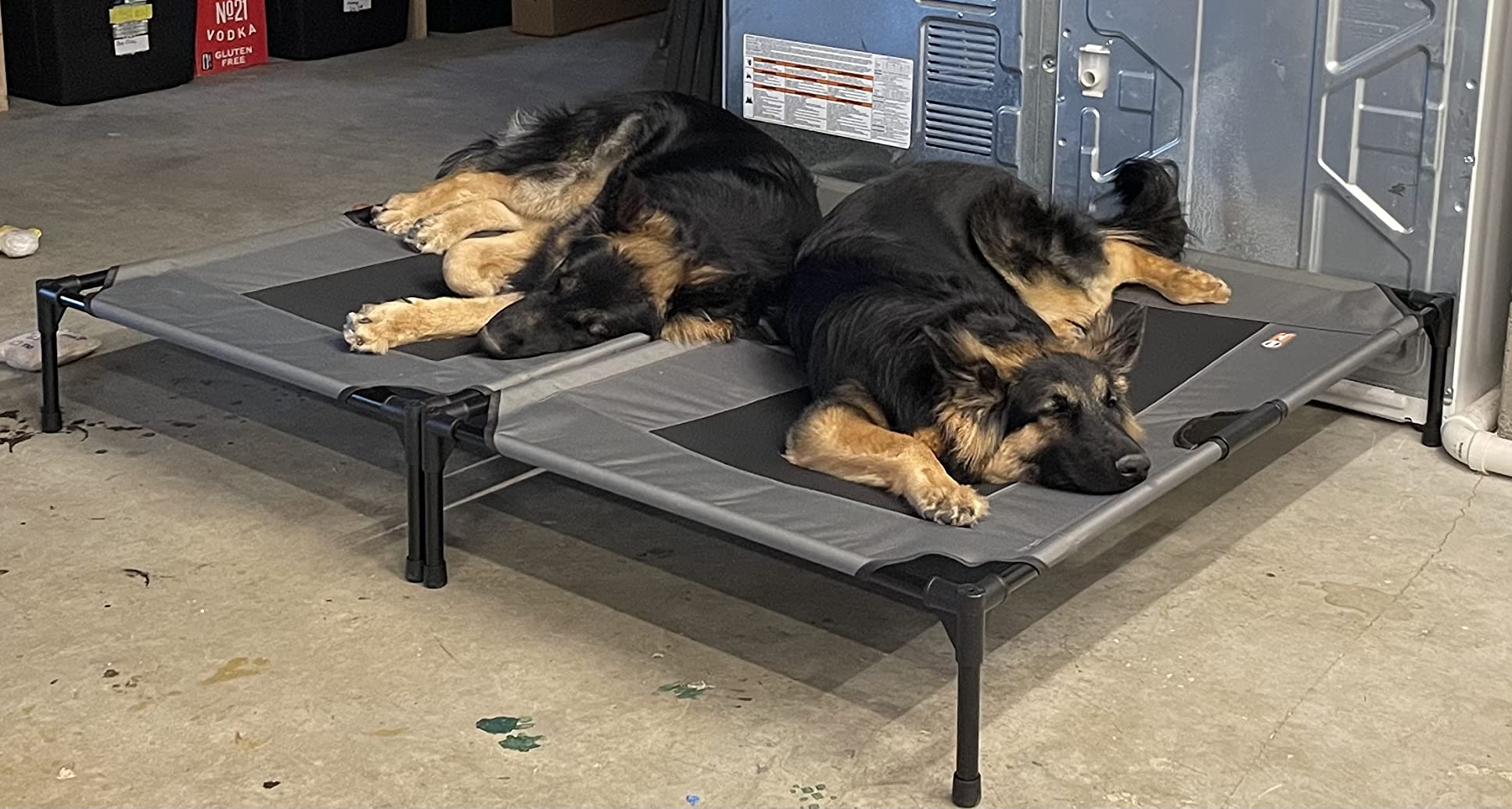 K&H Pet Products Outdoor Elevated Dog Cot, Breathable Cooling Elevated Cot Hammock Pet Bed for Large Dogs, Washable Mesh Cover, Raised Metal Frame, Collapsible, Portable - Large 42 X 30in Gray - Customer Photo 2