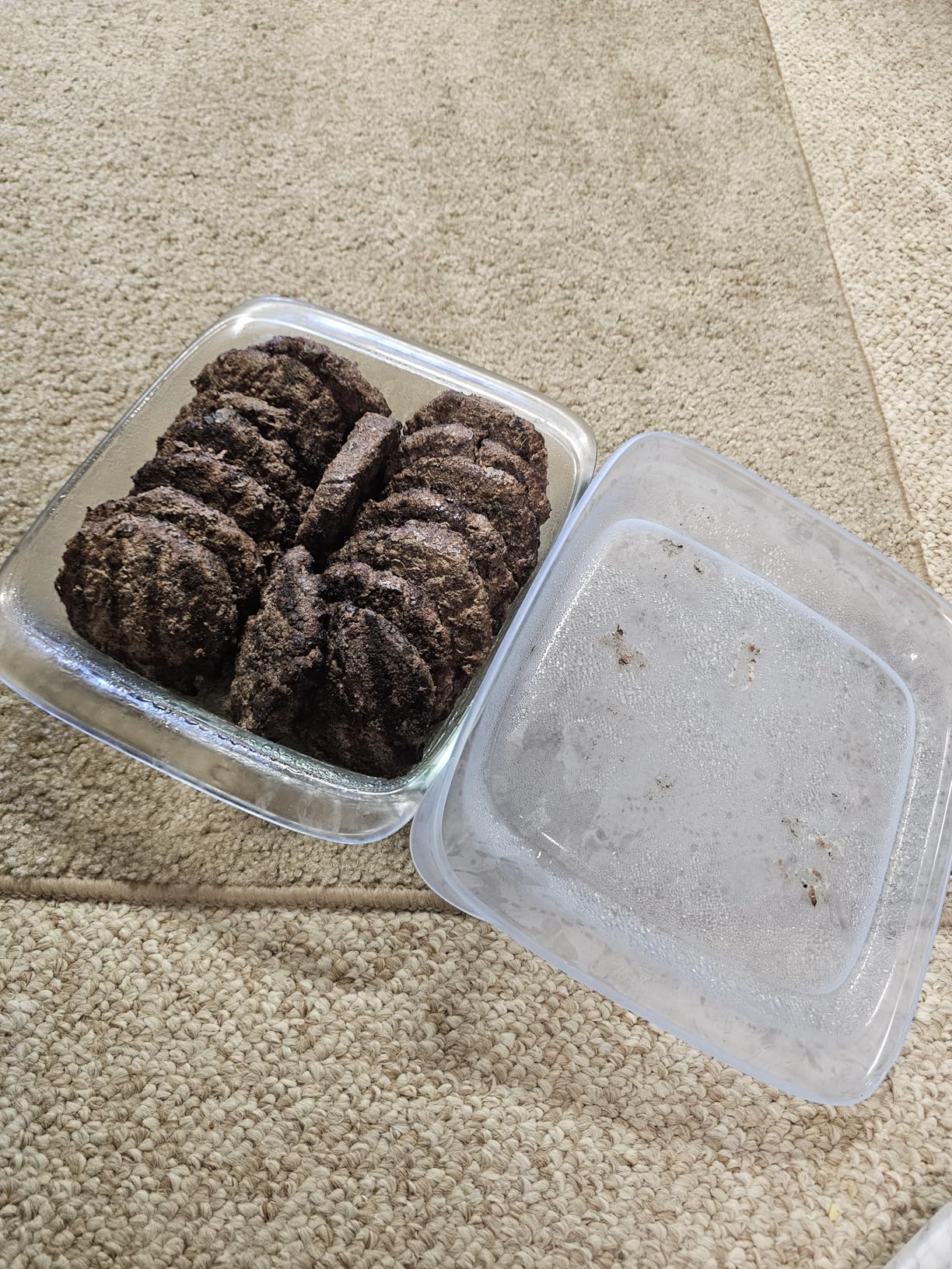 OXO Good Grips GLASS LOAF PAN WITH LID Customer Review OXO Good Grips GLASS LOAF PAN WITH LID - Customer Photo 2