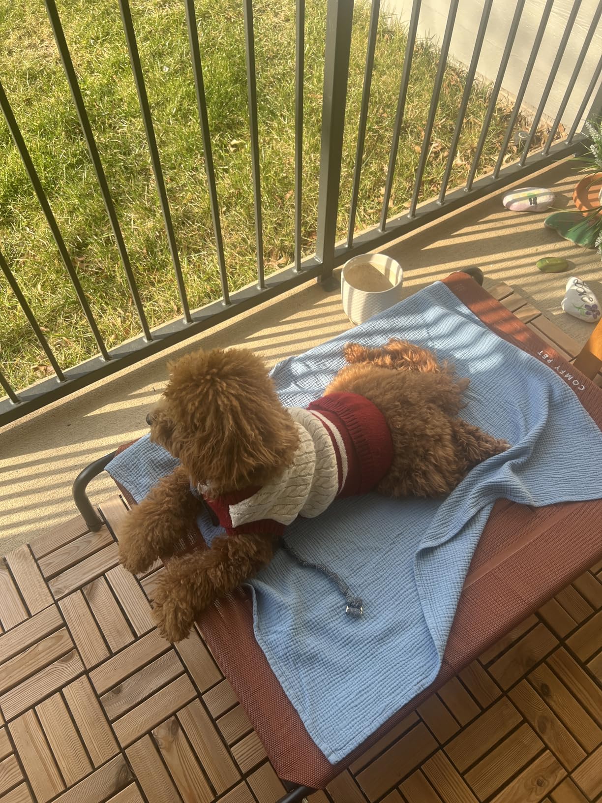 Bedsure Outdoor Elevated Dog Bed Large Sized Dog, Portable Indoor & Outdoor Cooling Raised Cot Pet Hammock Bed with Skid-Resistant Feet, Frame with Breathable Mesh, Grey, 49 inches - Customer Photo 1