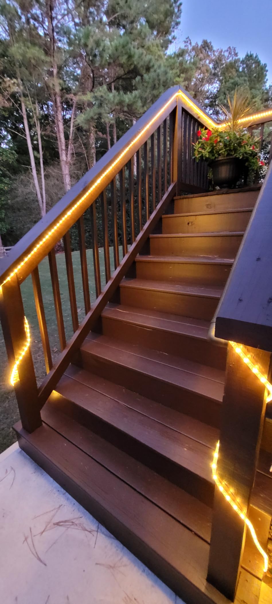 SURNIE Rope Lights Outdoor Waterproof Daylight White: LED 50FT Cuttable Outside Bright 110V Lighting Connectable Flexible Plug Cool Clear Tube, Indoor Deck Patio Xmas Camping Decor, Not Flat Strip Customer Review SURNIE Rope Lights Outdoor Waterproof Daylight White: LED 50FT Cuttable Outside Bright 110V Lighting Connectable Flexible Plug Cool Clear Tube, Indoor Deck Patio Xmas Camping Decor, Not Flat Strip - Customer Photo 2