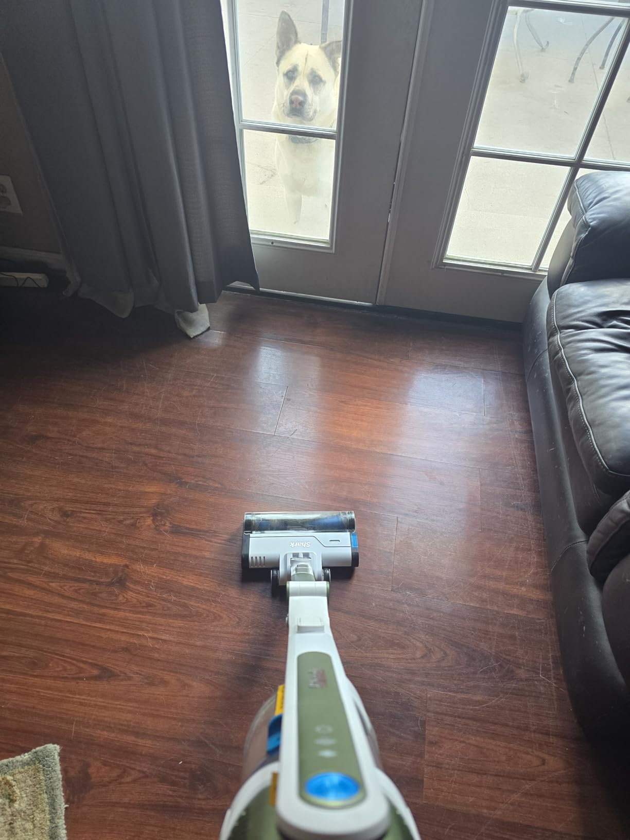Shark Pet Cordless Stick Vacuum | HyperVelocity Suction, XL Dust Cup, LED Headlights | Removable Handheld with Crevice & Pet Multi-Tool | 40-Min Runtime | Lightweight, Portable | Grey | IX141 customer photo 2