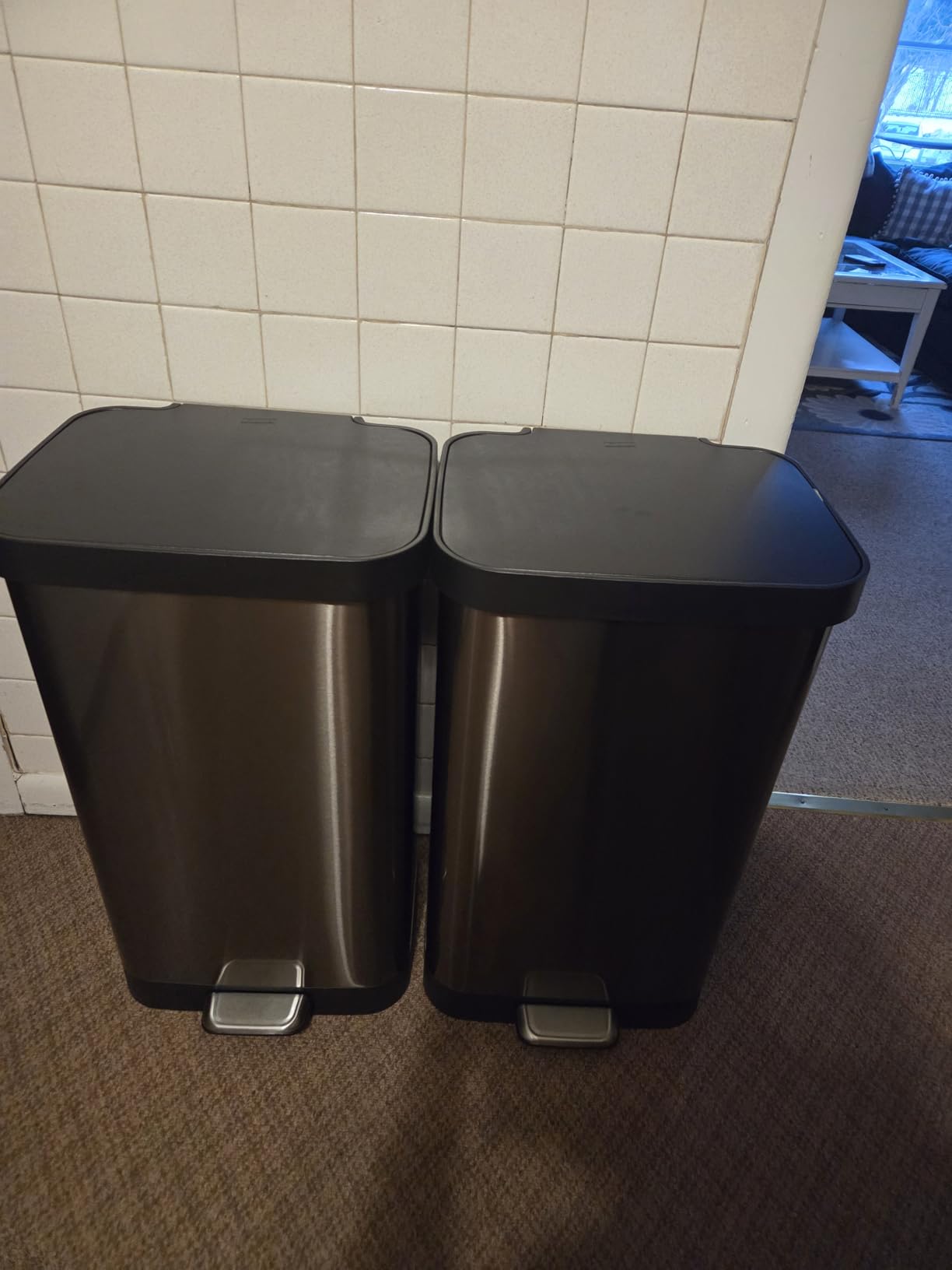 Glad Stainless Steel Step Trash Can, Large Metal Kitchen Garbage Bin with Soft Close Lid, 20 Gallon, Pewter - Indoor & Outdoor Waste Container with Odor Protection and Bag Roll Holder Customer Review Glad Stainless Steel Step Trash Can, Large Metal Kitchen Garbage Bin with Soft Close Lid, 20 Gallon, Pewter - Indoor & Outdoor Waste Container with Odor Protection and Bag Roll Holder - Customer Photo 1