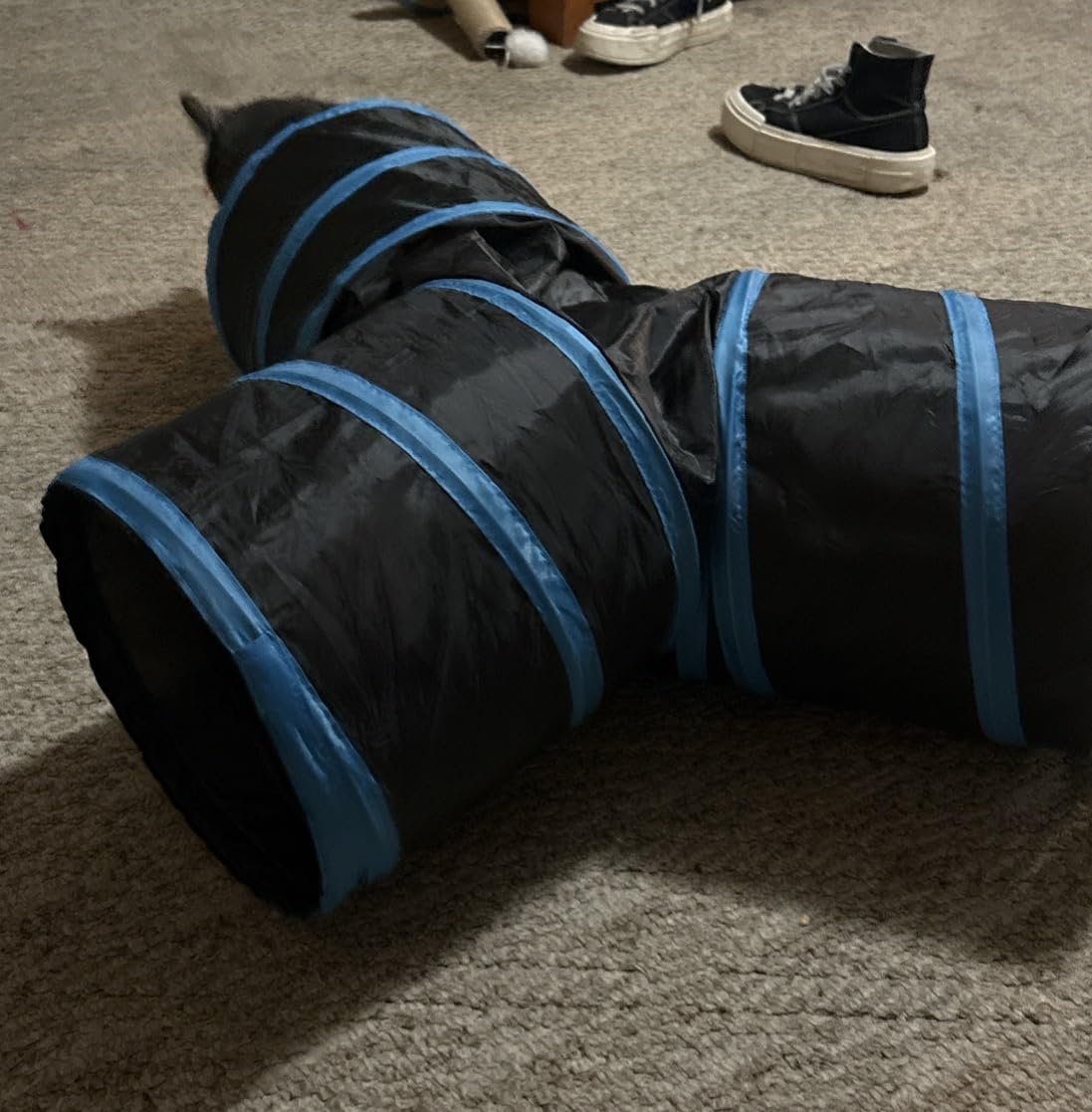 Tempcore Pet Cat Tunnel Tube Cat Toys 3 Way Collapsible, Tunnels for Indoor Cats，Kitty Bored Peek Hole Toy Ball Cat, Puppy, Kitty, Kitten, Rabbit - Customer Photo 2