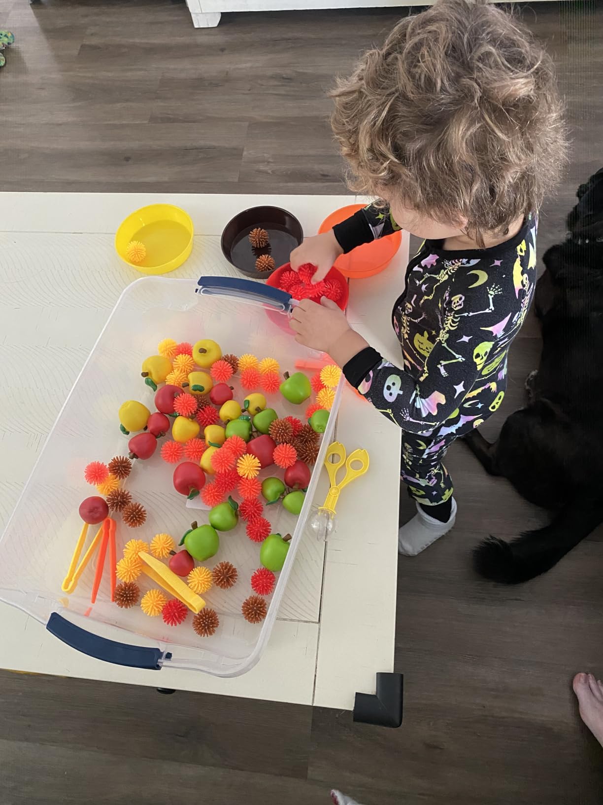 Rubbermaid Cleverstore 17 Qt Clear Storage Bins with Lids, 6-Pack, Stackable, BPA-Free, Made in USA - Customer Photo 2