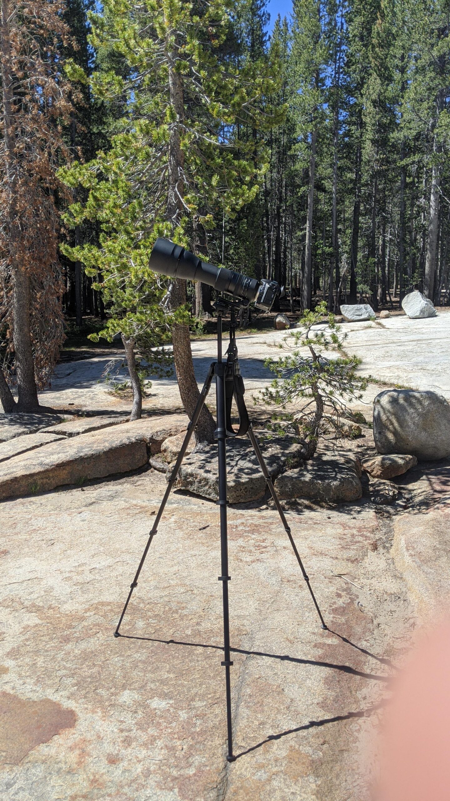 Peak Design Travel Tripod, Aluminum, Compact Design, Quick Setup and Takedown, Pro-Level Stability, Ergonomic Ball Head, Compact and Portable Travel Tripod for Camera and Phone, 20 lb Capacity Customer Review Peak Design Travel Tripod, Aluminum, Compact Design, Quick Setup and Takedown, Pro-Level Stability, Ergonomic Ball Head, Compact and Portable Travel Tripod for Camera and Phone, 20 lb Capacity - Customer Photo 3