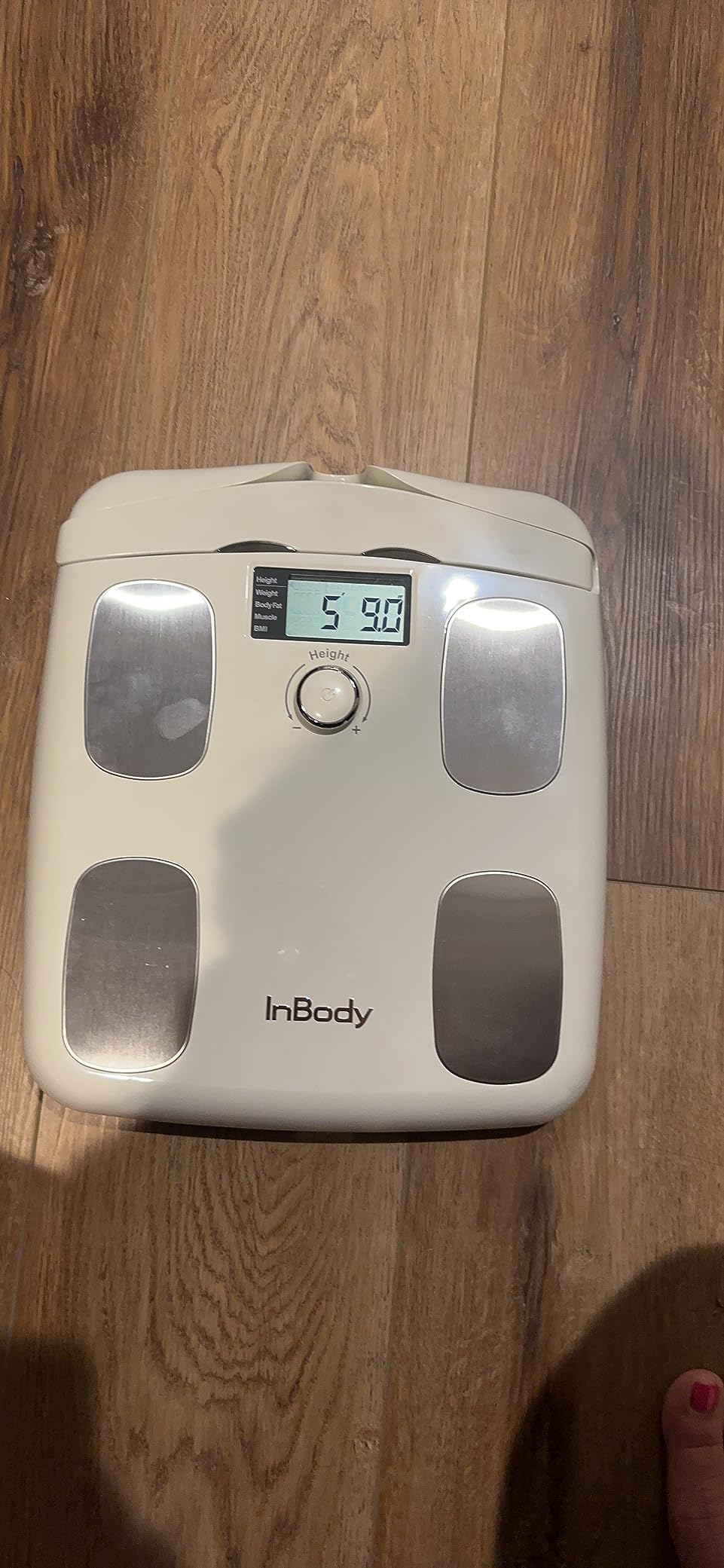 InBody Dial H20 | Body Composition Scale Most Accurate | Smart Scale with BMI, Body Fat, Muscle Mass | Weight Scale with Body Fat and Muscle - Customer Photo 1