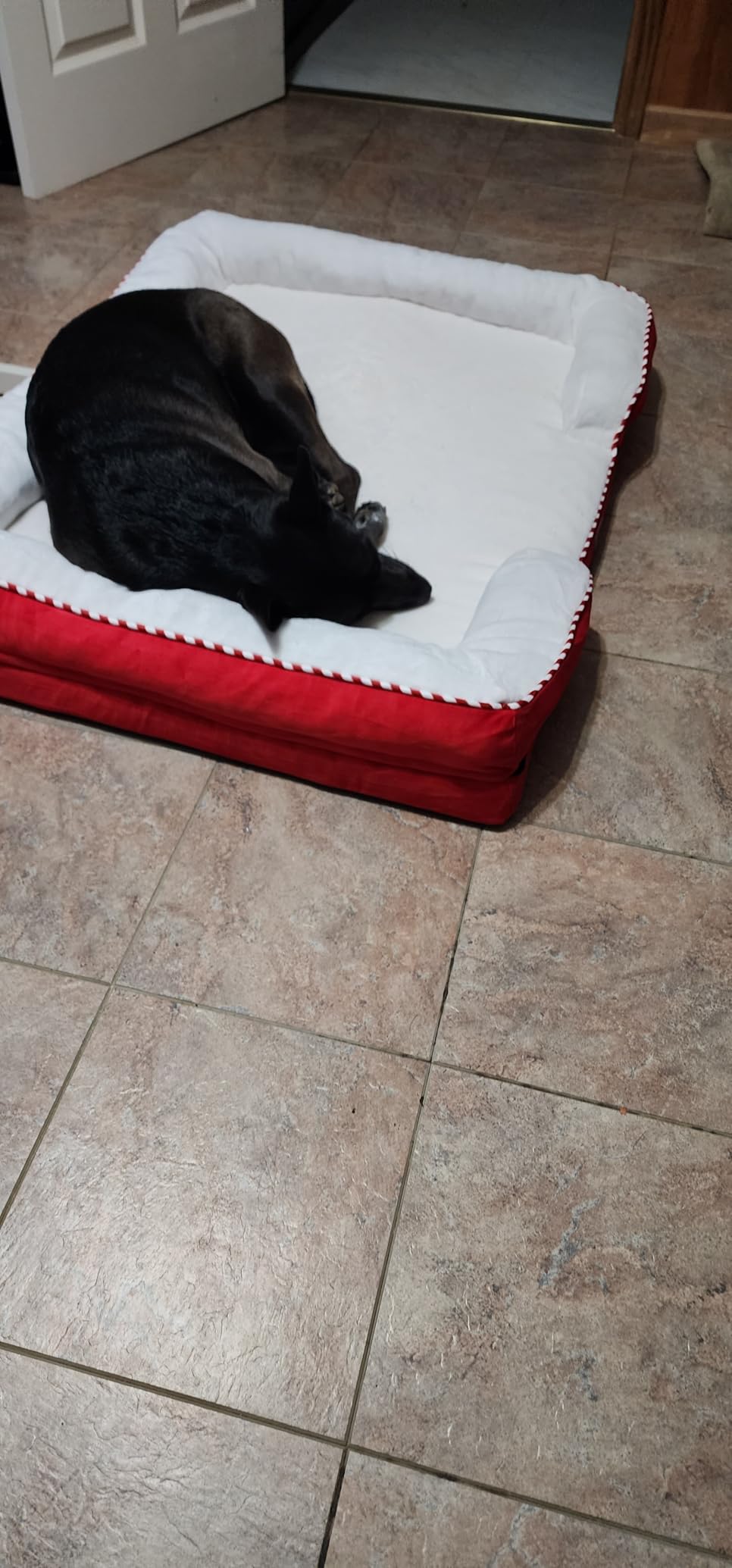 Bedsure Orthopedic Dog Beds Large Sized Dog - Washable Large Dog Cat Bed Waterproof, Comfort Dogs Couch Sofa with Washable Removable Cover, Pet Bed with Nonskid Bottom, Grey, 35