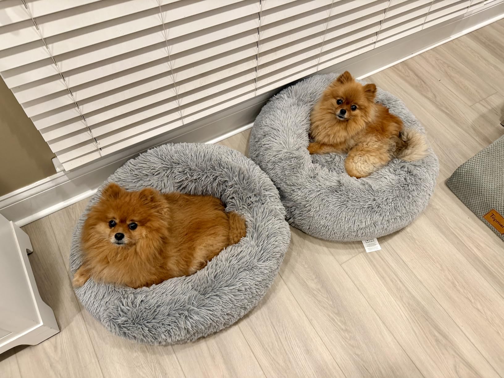 Bedsure Calming Dog Bed Medium Size Dog - Donut Washable Medium Pet Bed, 30 inches Anti-Slip Round Fluffy Plush Faux Fur Cat Bed, Fits up to 45 lbs Pets, Camel - Customer Photo 2