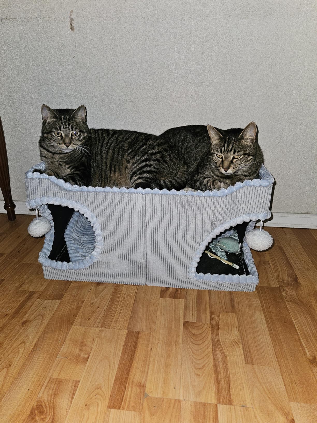 Bedsure Cat Beds for Indoor Cats - Large Cat Cave for Pet Cat House with Fluffy Ball Hanging and Scratch Pad, Foldable Cat Hideaway, 16.5x16.5x13 inches, Grey - Customer Photo 2