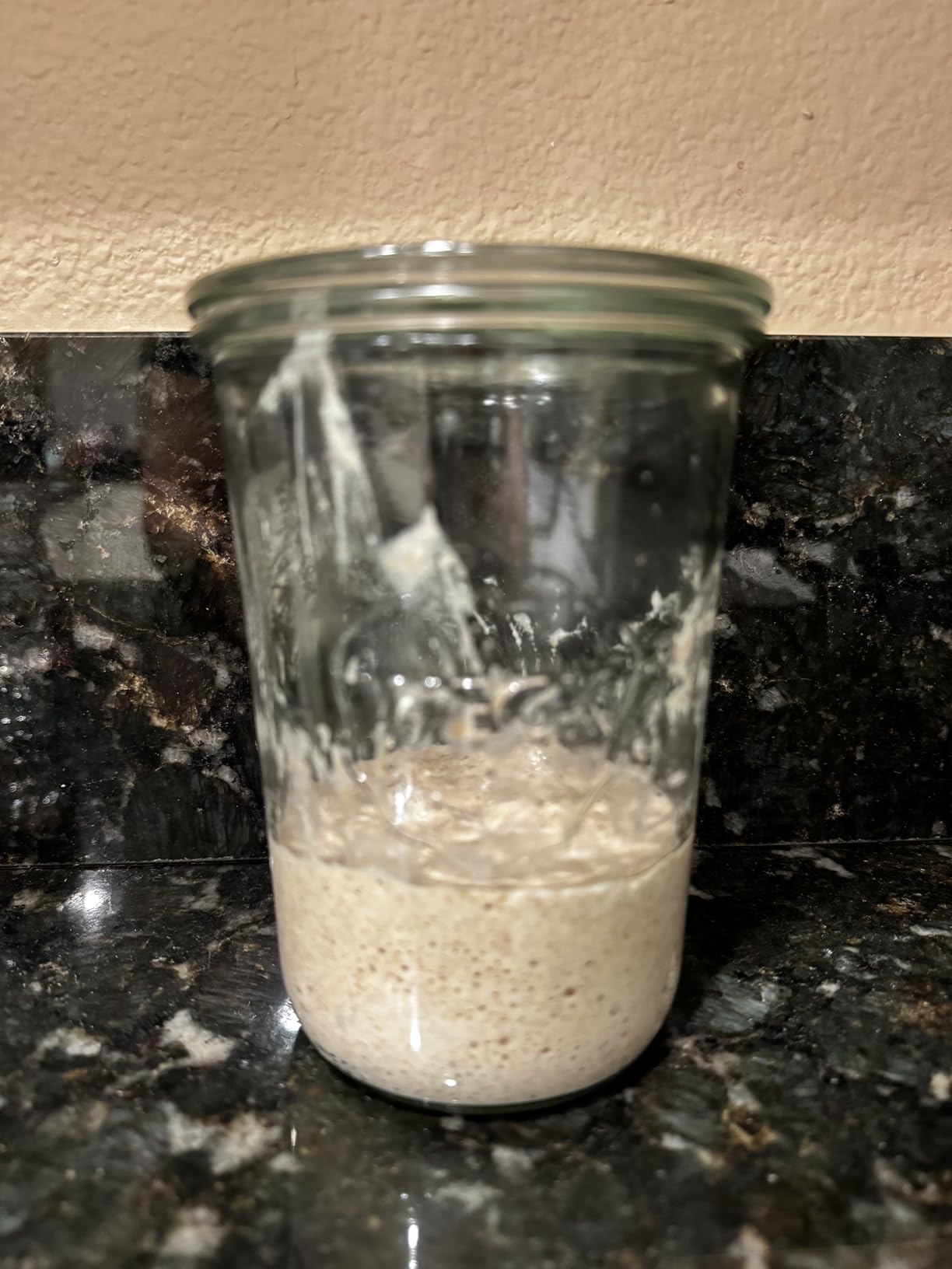 WECK 743 Mold Jar (Weck 743) - Customer Photo 1