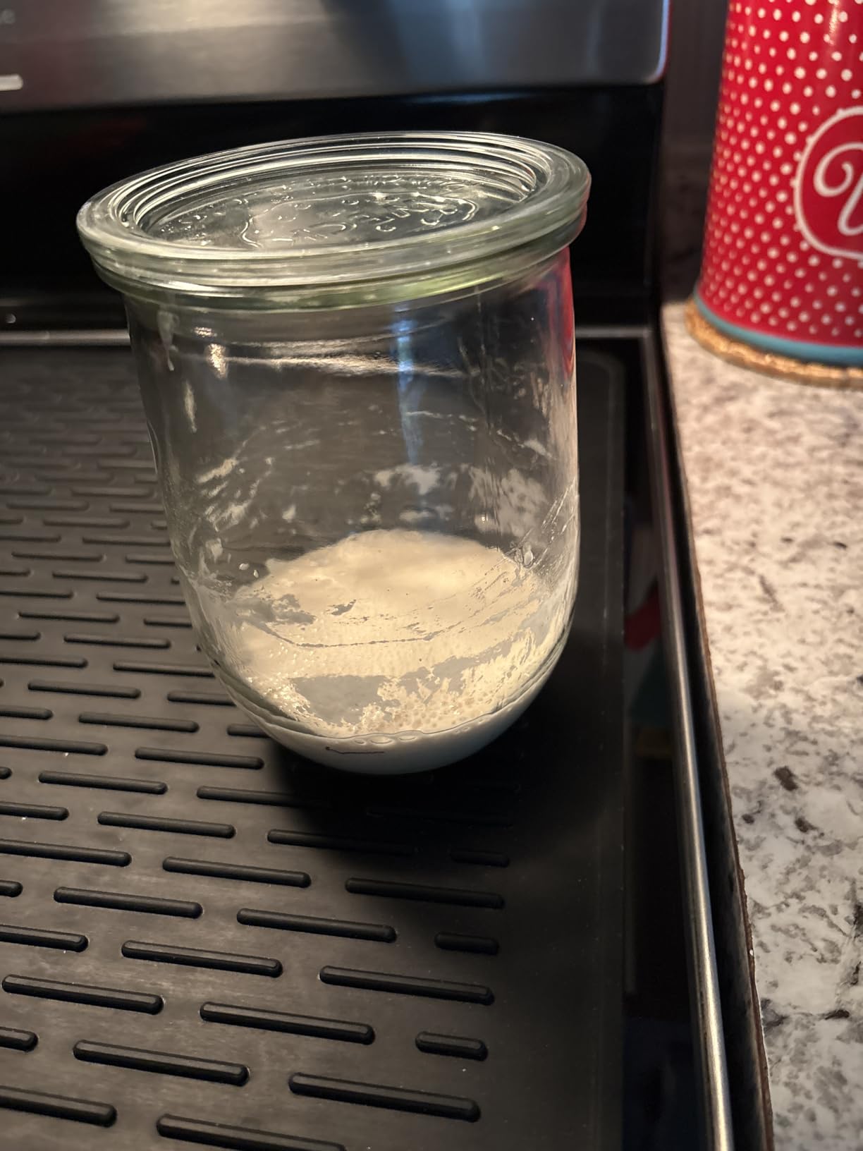 Weck Tulip Jar - Sour Dough Starter Jars for Sourdough - 1 x WECK 745 Large Clear Jar with Wide Mouth - 1 Liter Includes Glass Lid, rubber seal and steel clips - Customer Photo 2