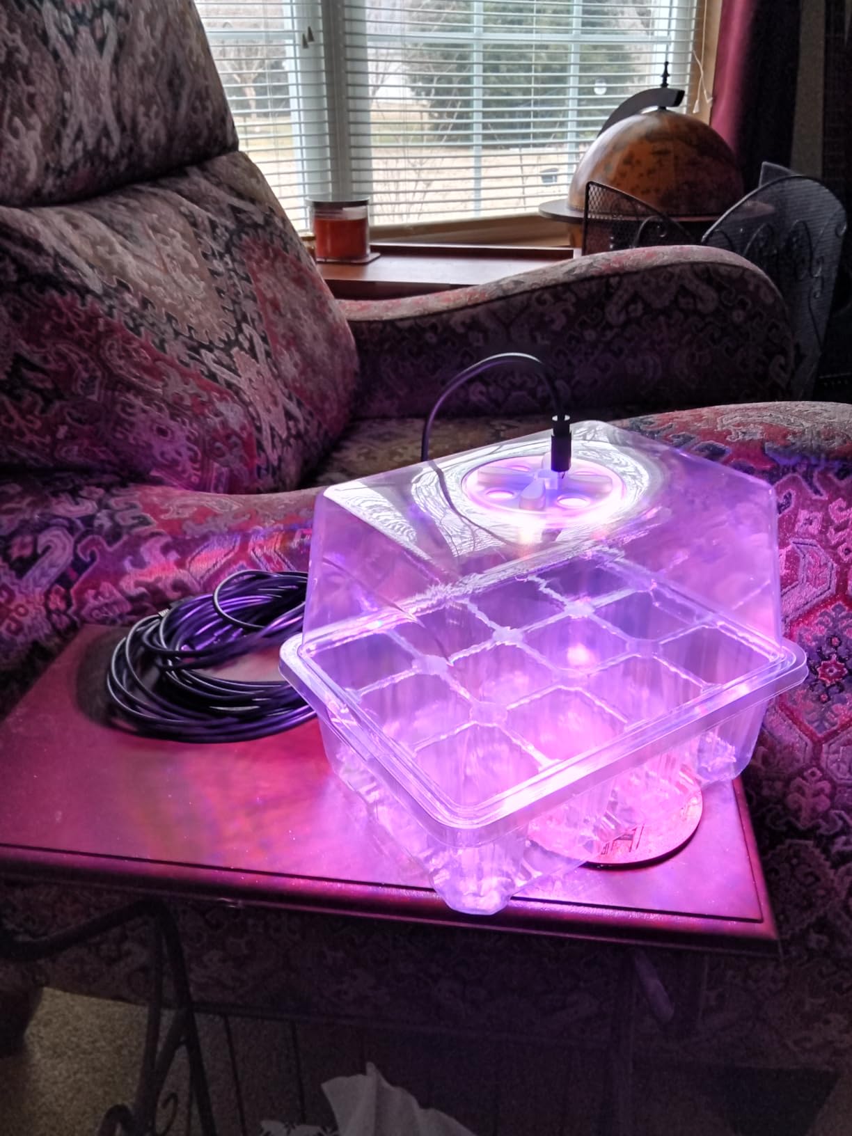 Bonviee 5 Packs Seed Starter Tray with Plant Light, Elevated Seedling Starter Trays Kits with Adjustable Humidity Domes and Clear Cell Tray, 12 Full Spectrum LED Lamp Beads - Customer Photo 1