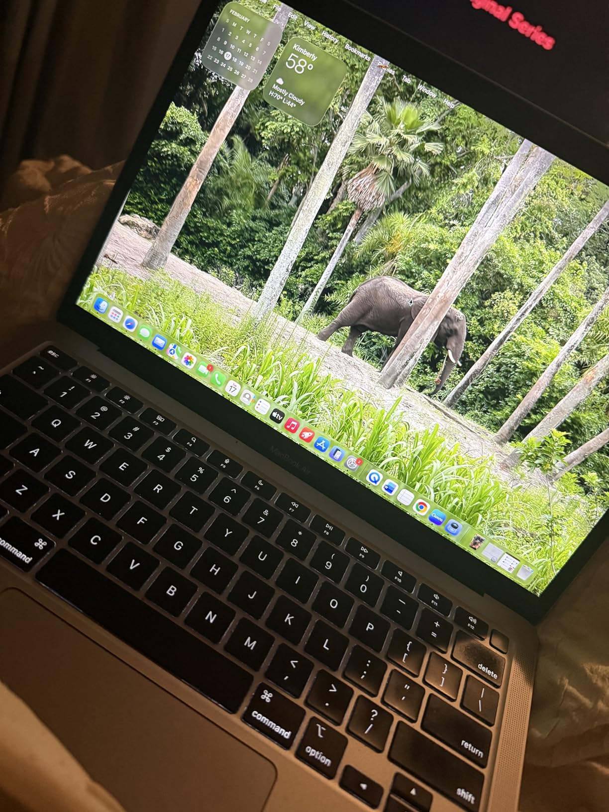 Apple MacBook Air Late 2020 with Apple M1 Chip (13.3 inch, 8GB RAM, 256GB SSD) Space Gray (Renewed) customer photo 1