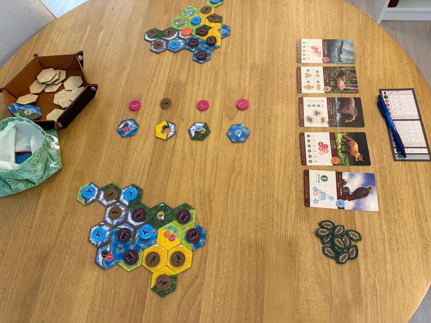 AEG & Flatout Games | Cascadia - Award-Winning Board Game Set in the Pacific Northwest | Easy to Learn | Quick to Play | Ages 10+ - Customer Photo 4