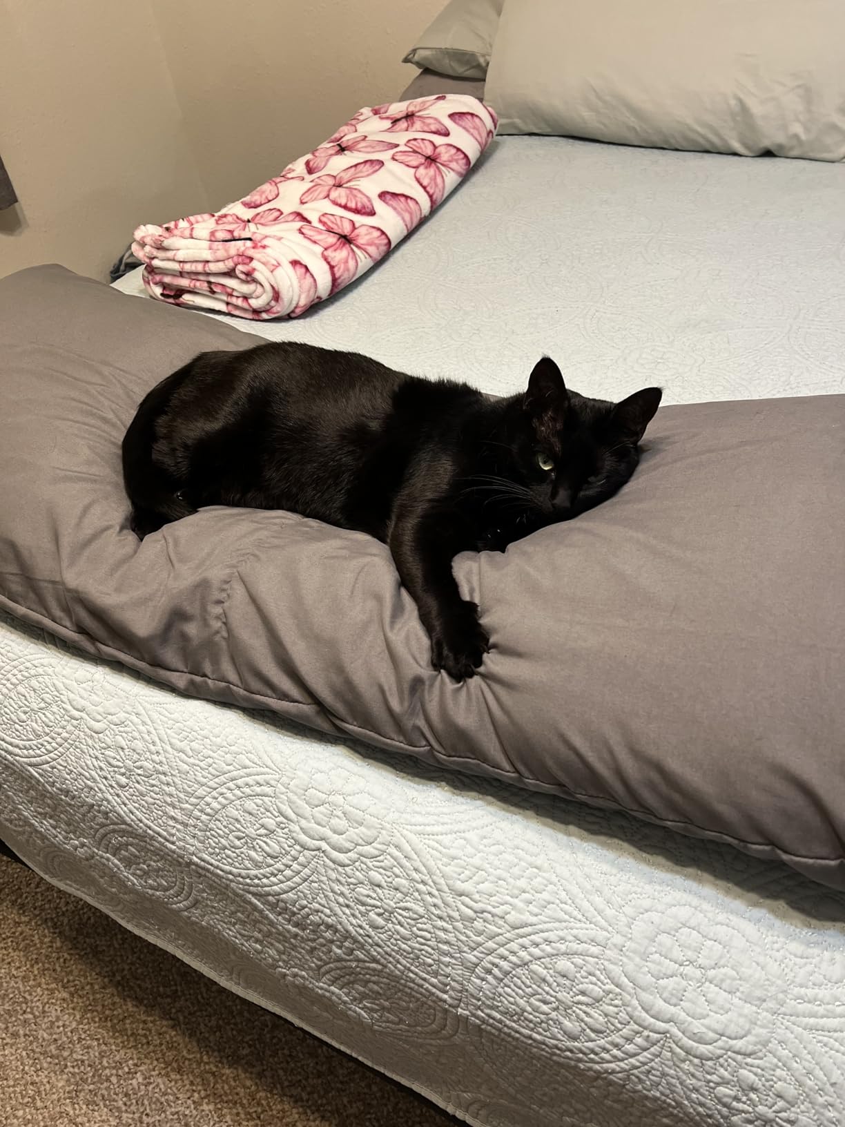 ELNIDO QUEEN Body Pillow with Pillowcase - Soft Long Bed Pillow for Adults - Breathable Full Body Pillow Insert for Sleeping, 20x54inches, Grey Customer Review ELNIDO QUEEN Body Pillow with Pillowcase - Soft Long Bed Pillow for Adults - Breathable Full Body Pillow Insert for Sleeping, 20x54inches, Grey - Customer Photo 2