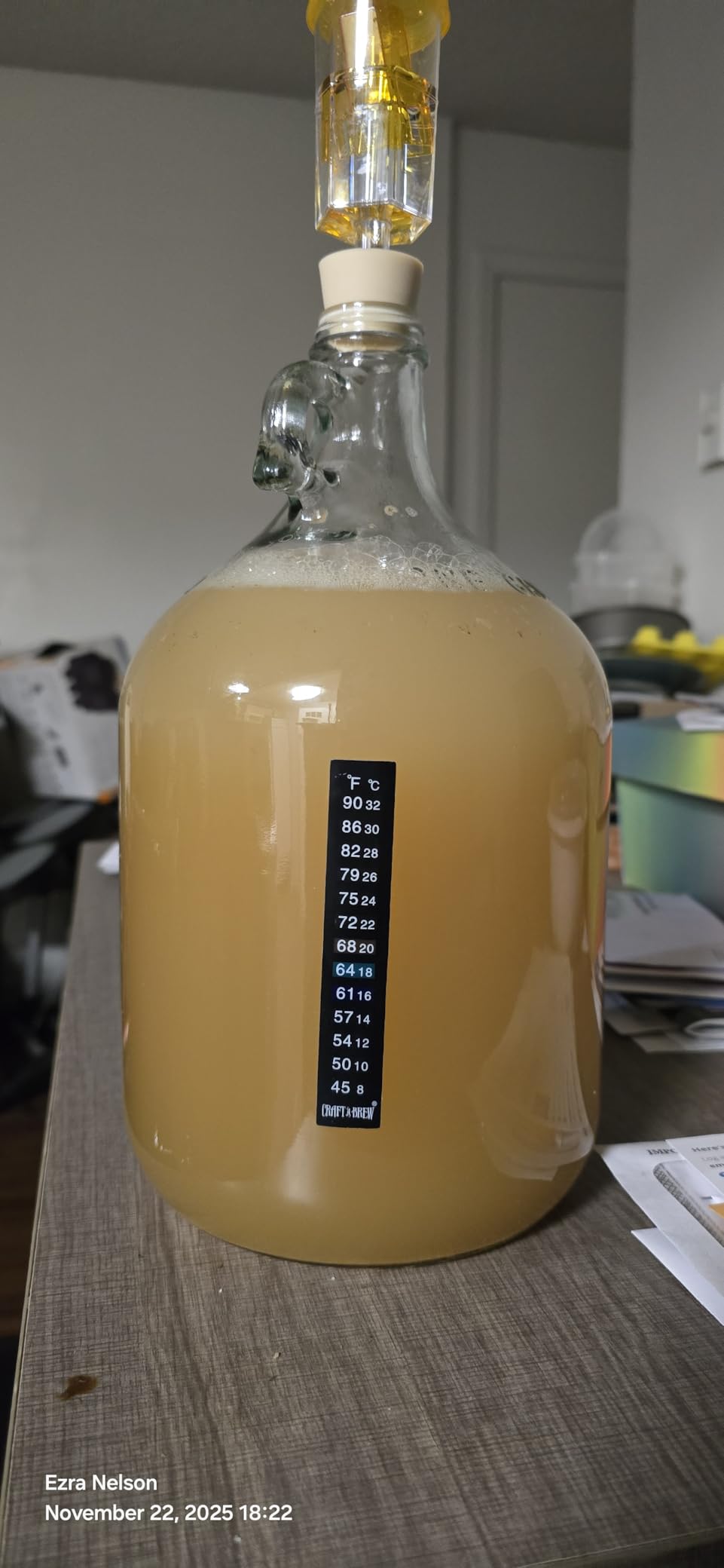 Craft A Brew - Mead Making Kit – Reusable Make Your Own Mead Kit – Yields 1 Gallon of Mead Customer Review Craft A Brew - Mead Making Kit – Reusable Make Your Own Mead Kit – Yields 1 Gallon of Mead - Customer Photo 1