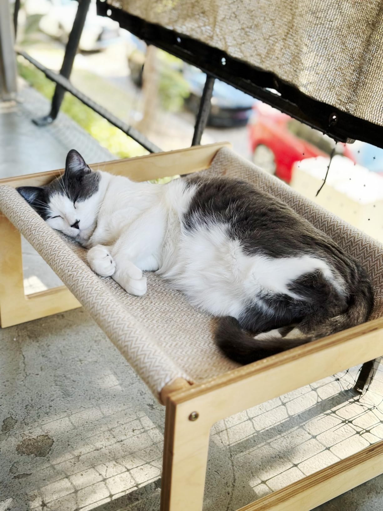 FUKUMARU Dog Bed, Large Breathable Elevated Cat Hammock, Wooden Cat Beds for Outdoor and Indoor, 21 Inch Raised Pet Beds Suitable for Cats, Puppy, Bunny and Small Animal - Customer Photo 2