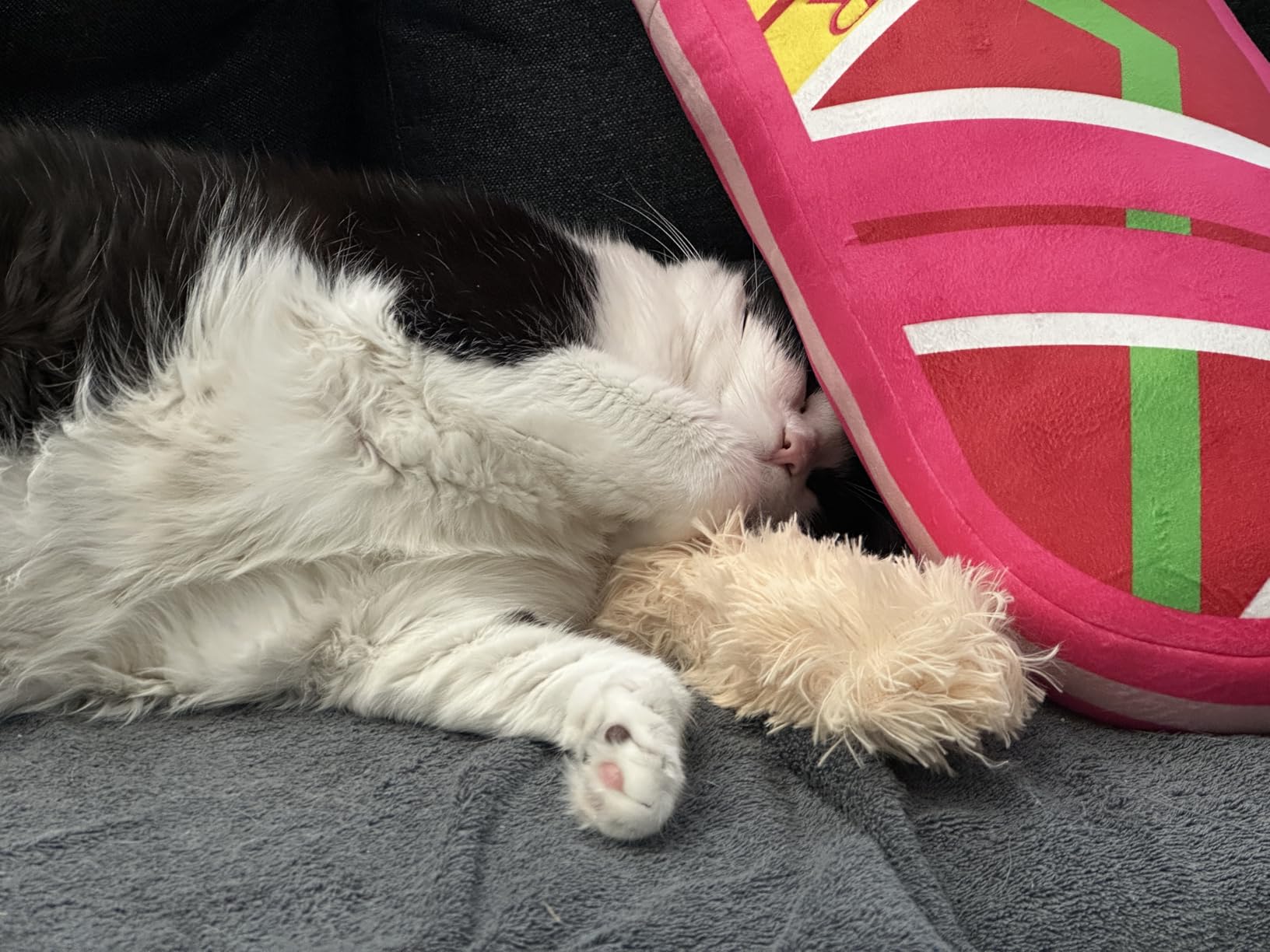 Potaroma Cat Toys Pillows, 3 Pack, Soft and Durable Crinkle Sound with Catnip Inside, Interactive Indoor Kitten Kicker, Promotes Kitty Exercise - Customer Photo 2