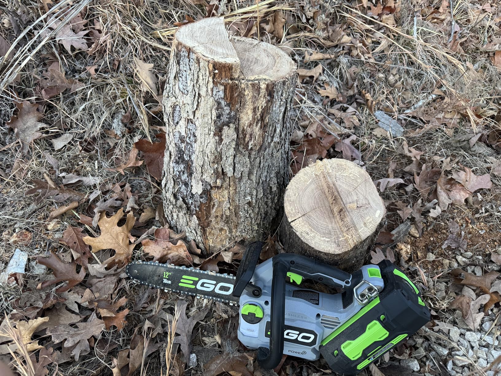 EGO POWER+ Chain Saw, 16 EGO POWER+ Chain Saw, 16